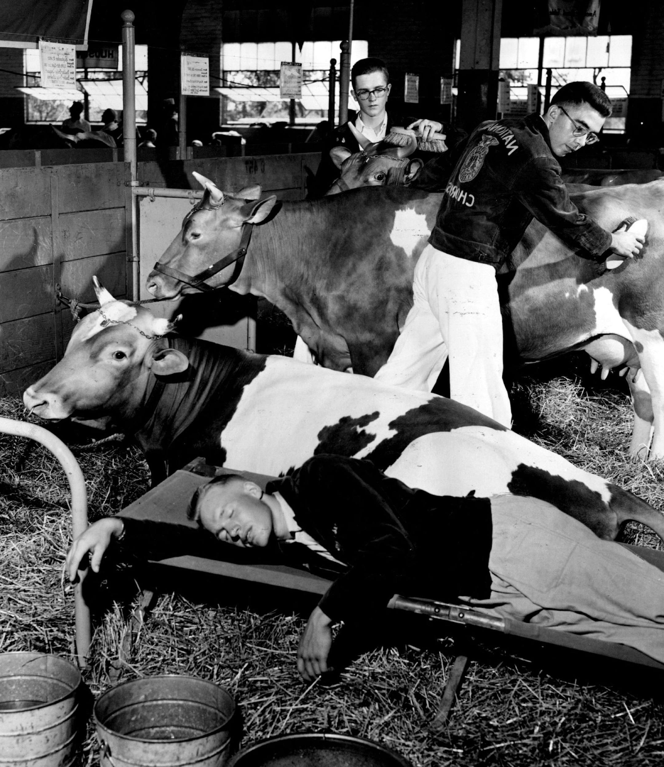 September 2, 1958 PHOTOGRAPHER'S VERSION OF THE MAGAZINE COVER MADE TUESDAY AT THE FAIR Carl Kehret, 19, Austin and James Skaar, 16, Albert Lea, were models for magazine artist Paul Wehr when he painted, some months ago, the cover for the September issue of Country Gentleman magazine reproduced below. Tuesday when the boys visited the Minnesota State fair, Minneapolis Star photographer Bonham Cross attempted to duplicate the cover with his camera (see picture at right). Except for the fact that