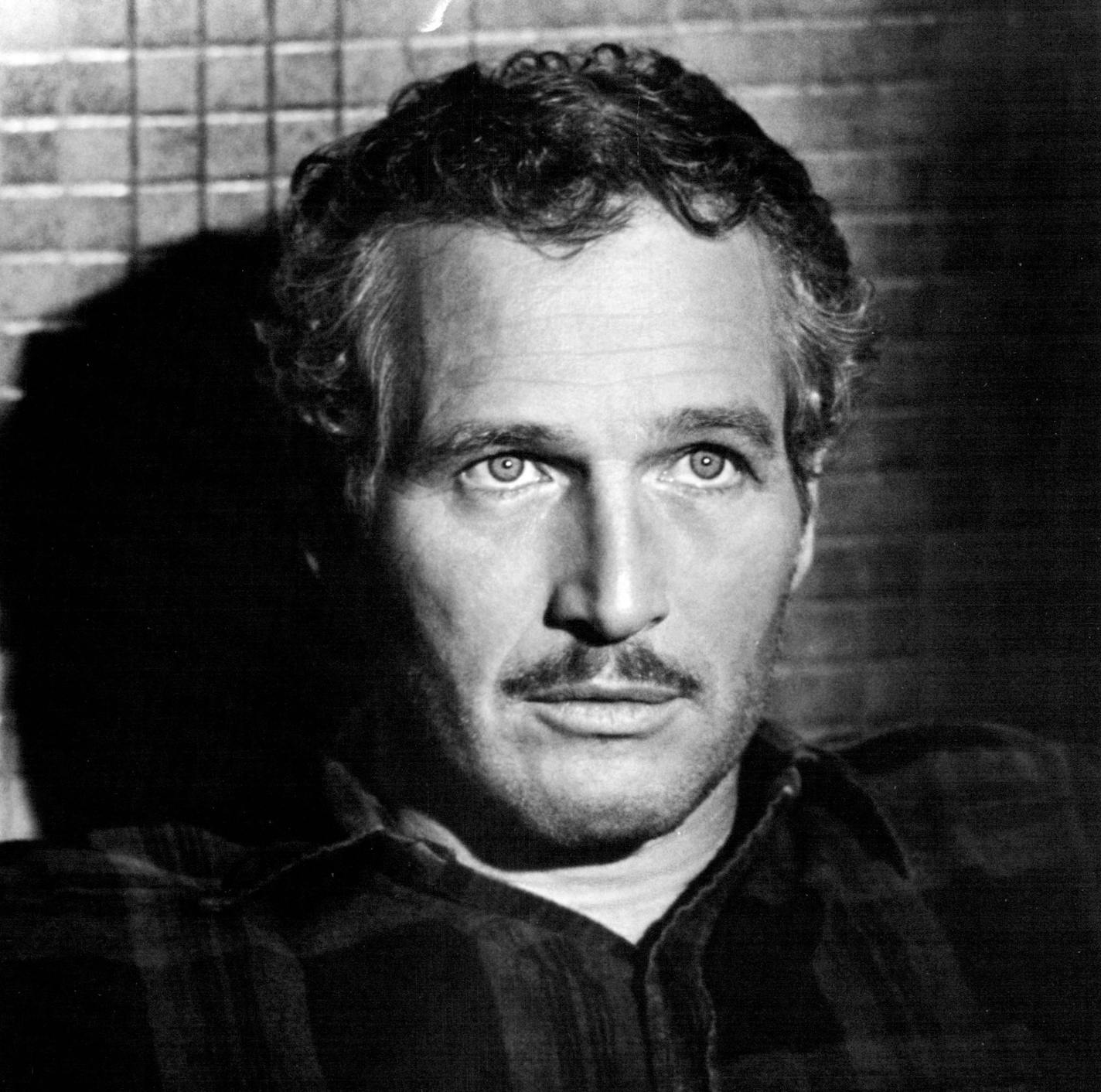 The Sting Paul Newman stars in "The Sting" as a con man who makes comeback by ripping off a powerful racketeer. Universal's "THE STING" winner of seven Academy Awards (including Best Picture, Best Director and Best Original Screenplay) is back! The Bill/ Phillips Production of a George Roy hill Film stars Paul Newman. Robert Bedford and Robert Shaw,directed by George Roy Hill, the Richard D. Zanuck/David Brown Presentation was produced by Tony Bill and Michael and Julia Phillips in Technicolor.