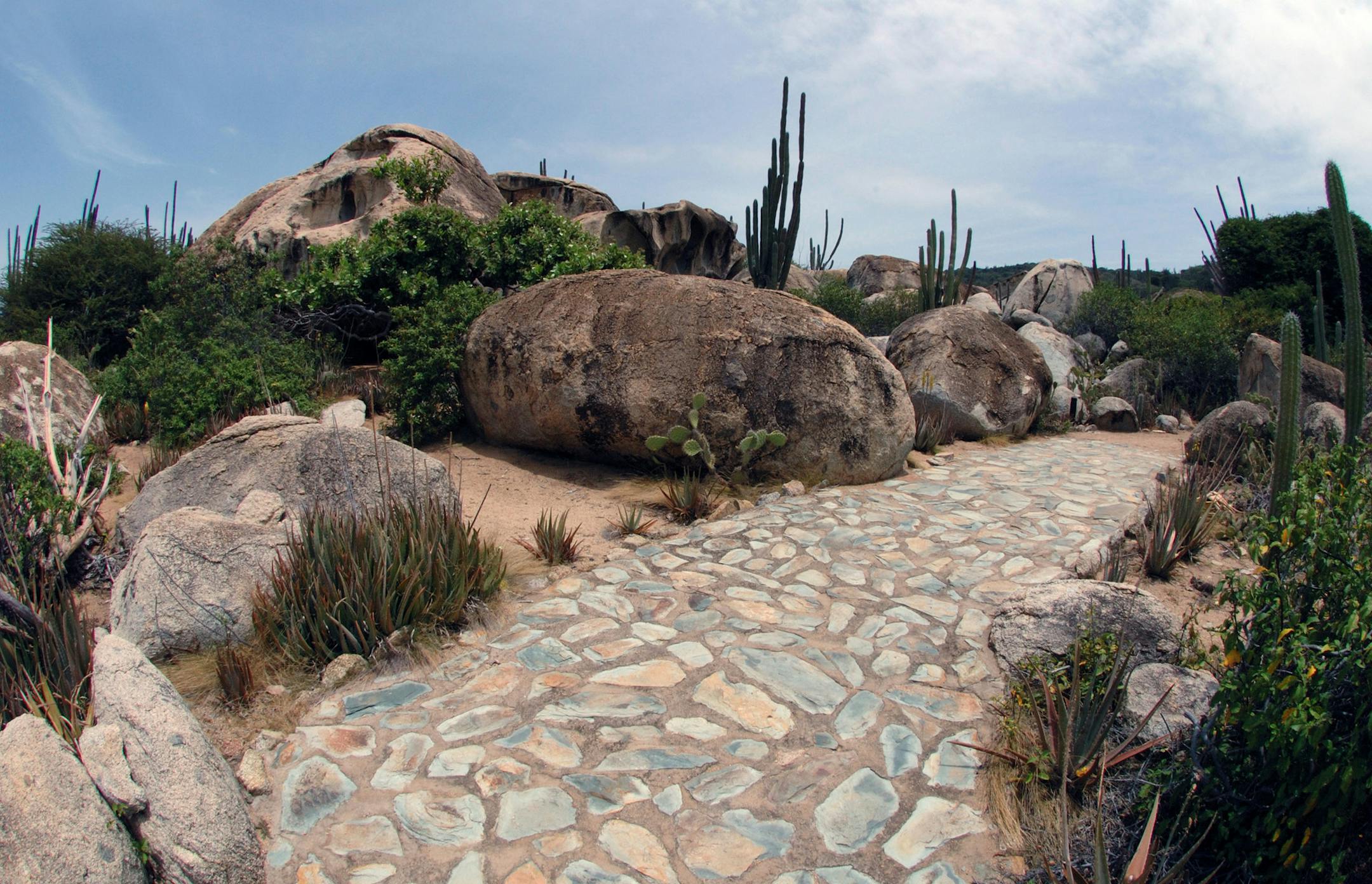 5aruba, path: Walking path at Arikok National Park on Aruba. Photo credit: Aruba Tourism Authority