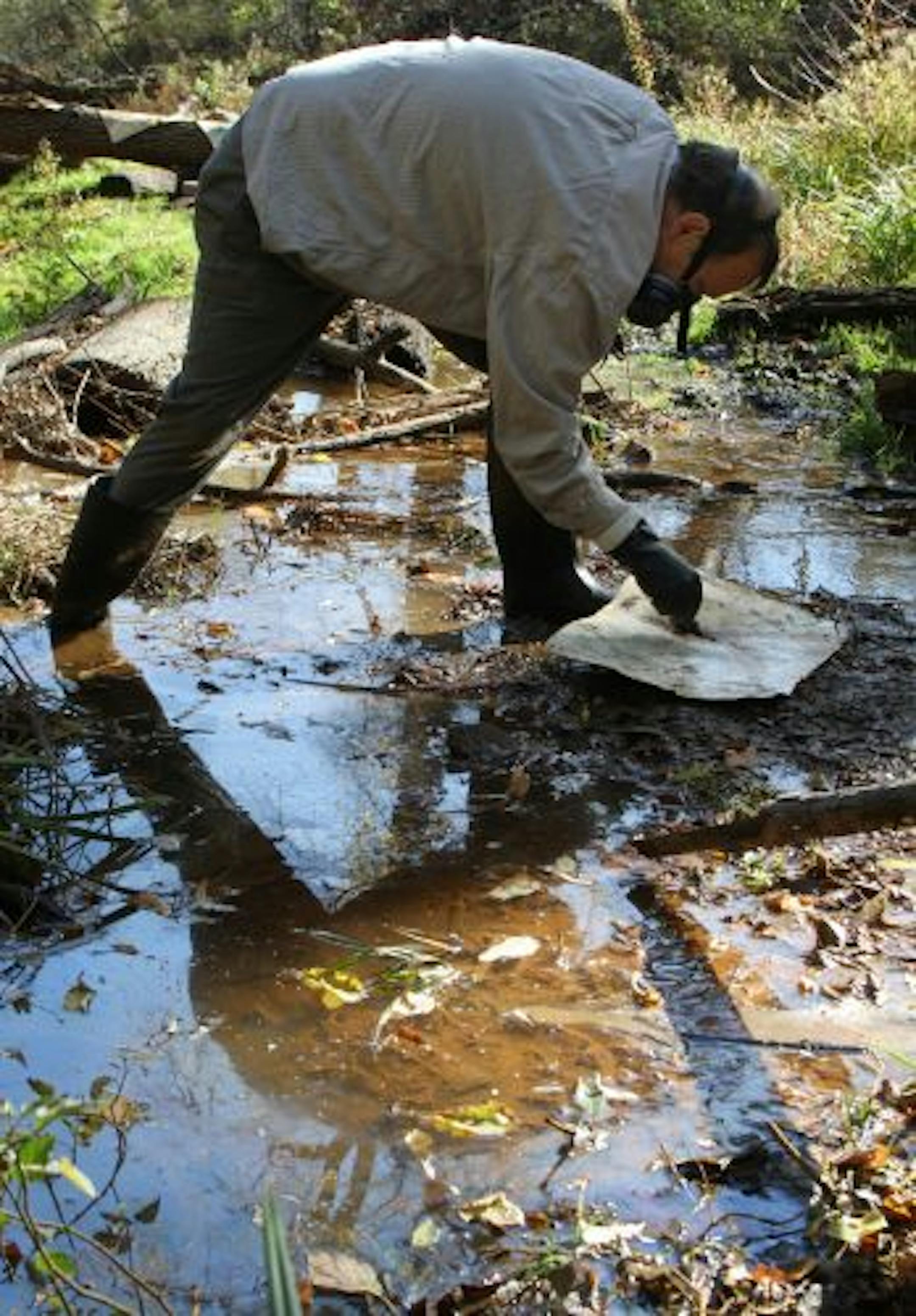 Peter L. Johnson painted with a twig in a toxic-smelling stream that flows into the Mississippi River. Johnson, who takes artistic photographs of pollution and trash, recently started painting, as well, using mud, berries and other materials he finds in or along the stream.