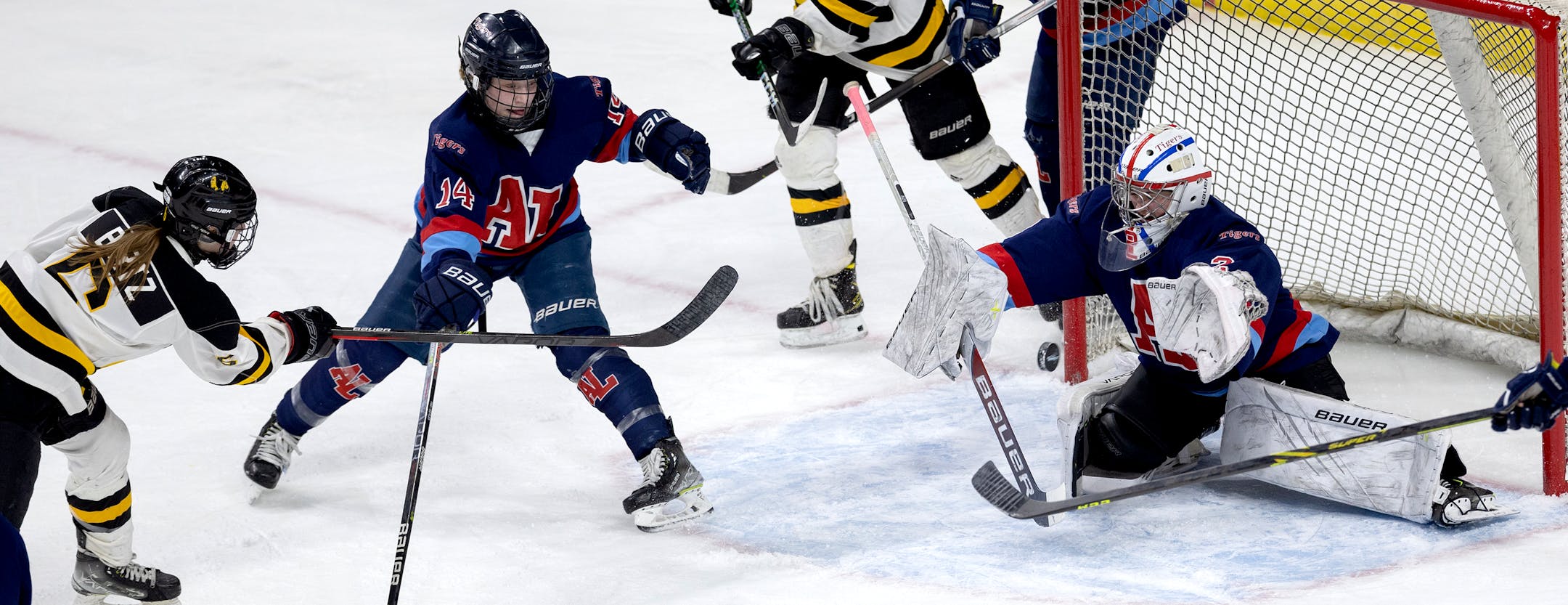 Rylee Bartz (6) of Warroad has a shot stopped by Albert Lea goalie Jayda Moyer (2) in the second period.