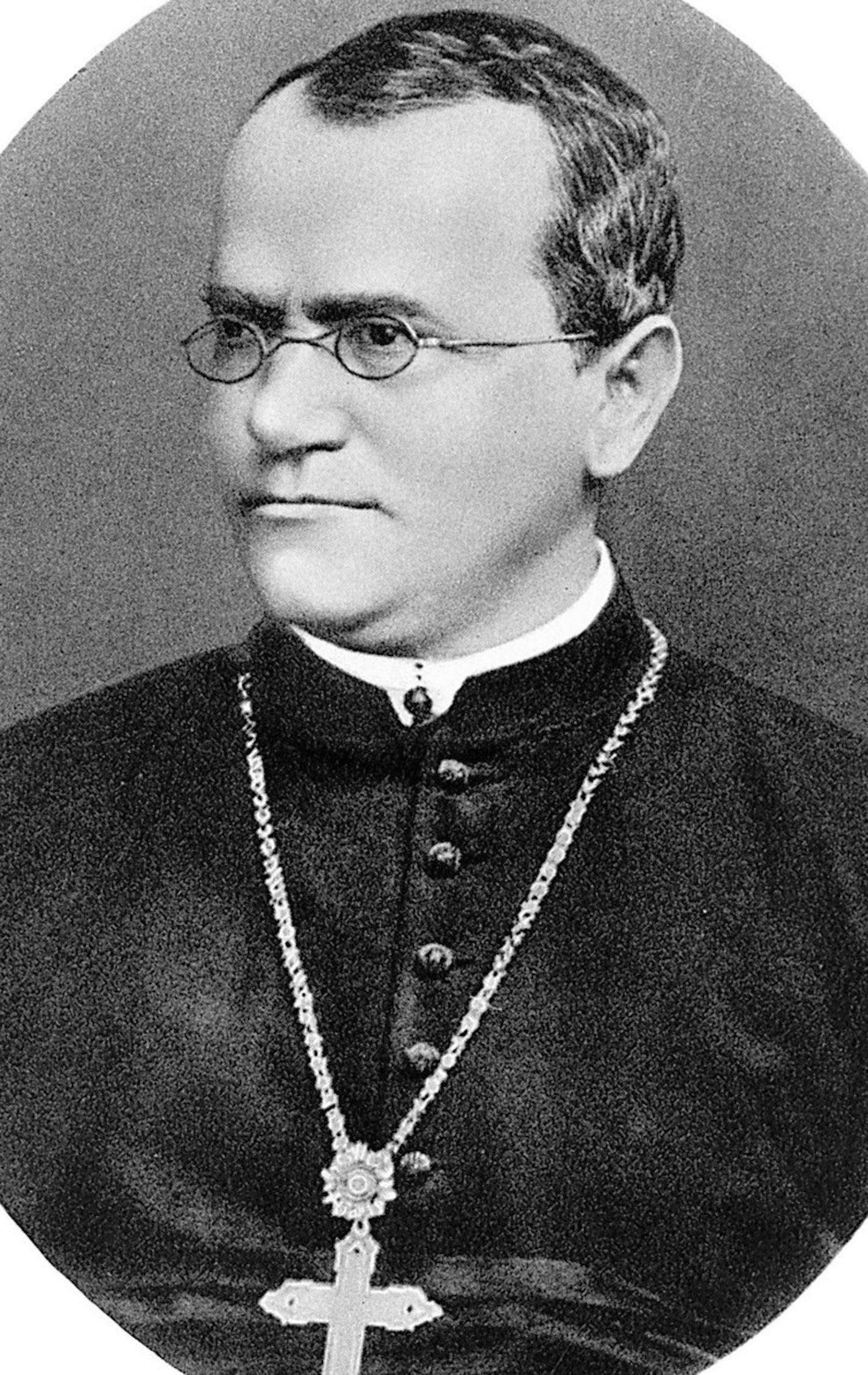 Gregor Mendel, a monk in what is now the Czech Republic, discovered the basic principles of heredity.