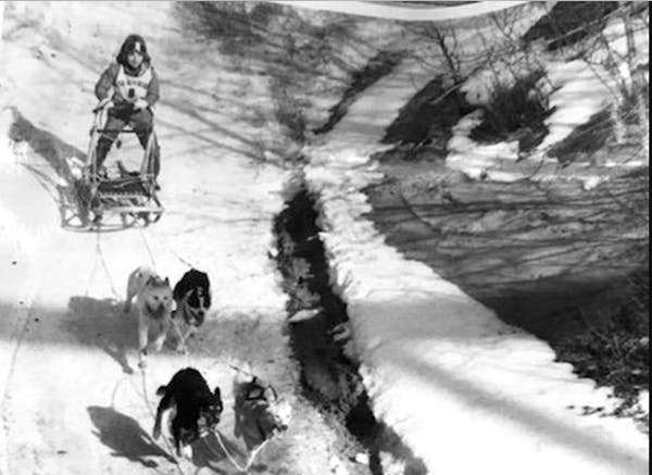 Val Beland of Ely has raced dogs worldwide, from Alaska to Europe. She also raced in a demonstration event at the Calgary Winter Olympics in 1988.