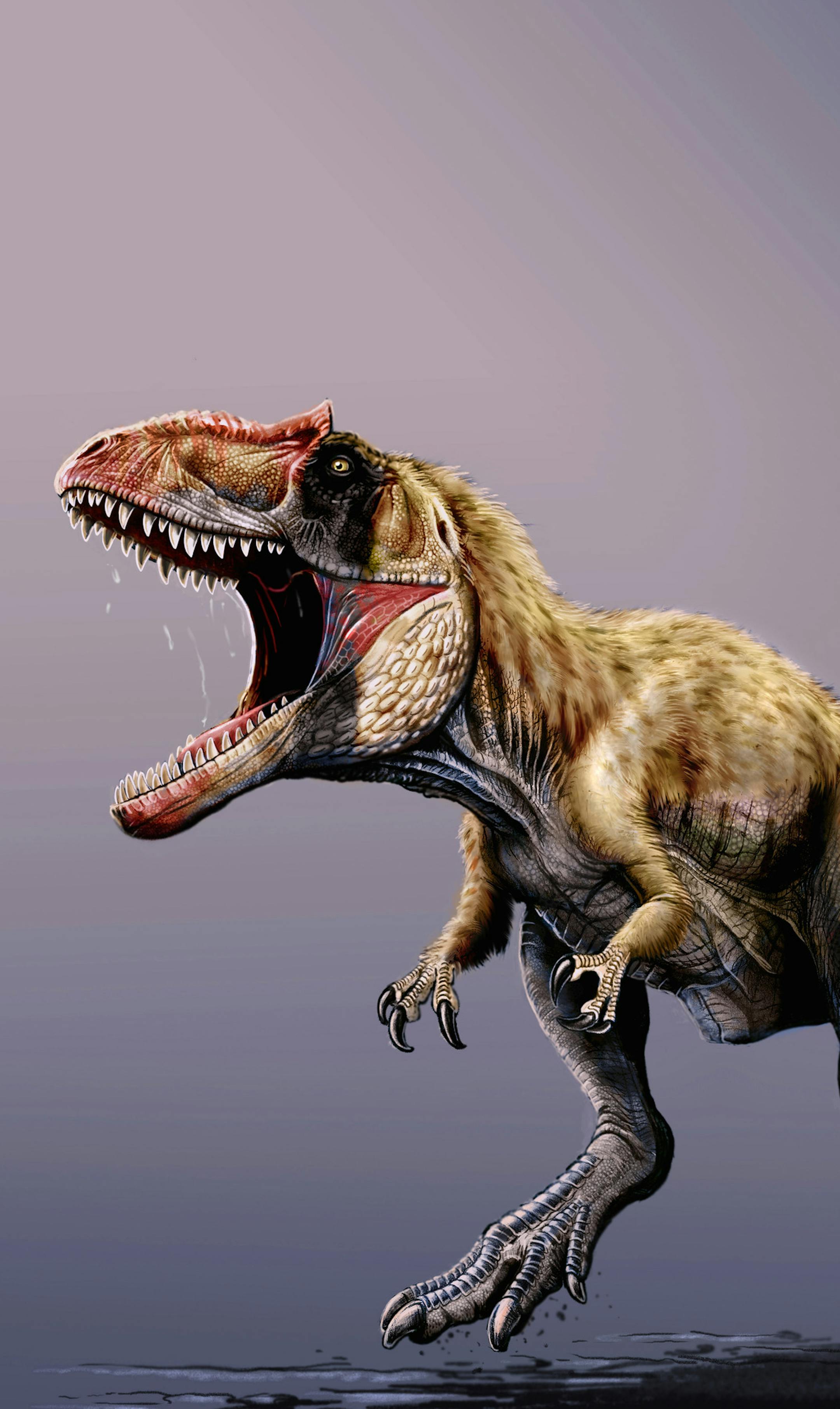 This undated artist rendering provided by The Field Museum shows a newly discovered dinosaur named Siats meekerorum. Researchers at The Field Museum, the North Carolina Museum of Natural Sciences, and North Carolina State University discovered the giant predatory dinosaur that walked the Earth approximately 100 million years ago, in the Cedar Mountain Formation in Utah. The new dinosaur is the first of its kind to be discovered in North America. The study appears in the Nov. 22, 2013 issue of Na