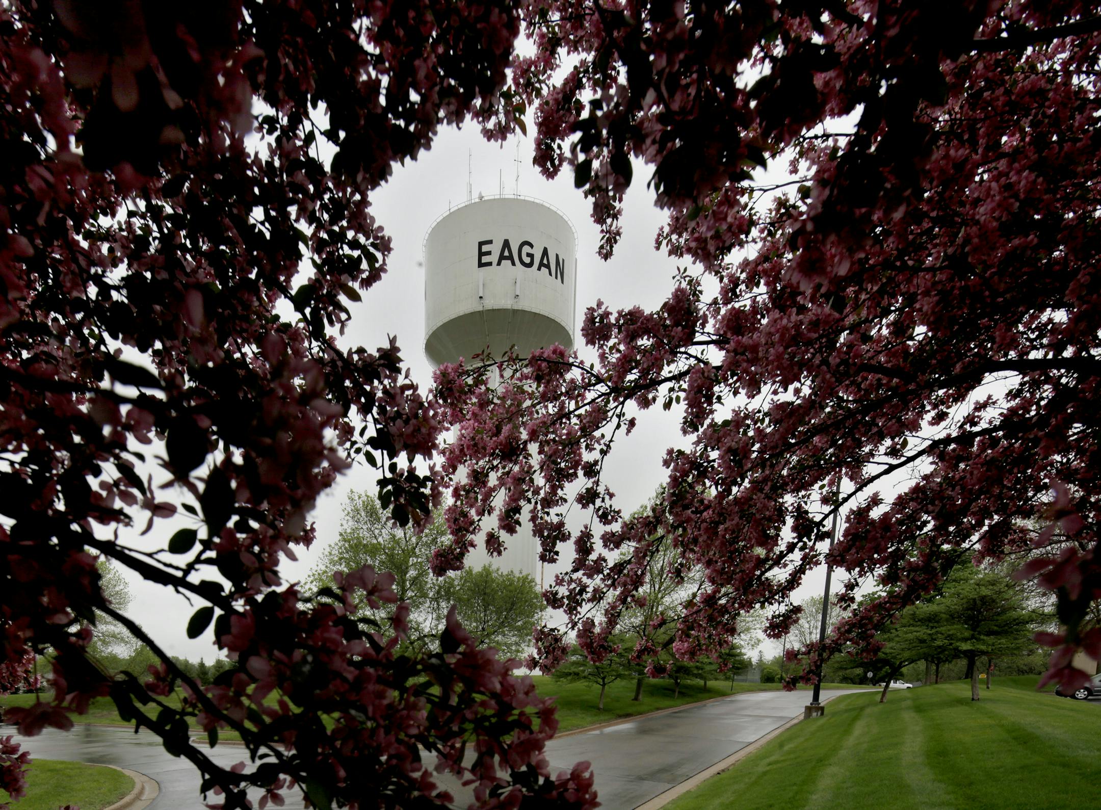 Eagan is exploring options for its oldest water tower at 420 Towerview Road, which hasn't stored water for several years, but generates significant revenue as a cell phone antenna. It needs to be rehabbed, but the cost is very high -- higher than tearing it down and building another cell phone tower. The issue is whether the water tower is a landmark that's worth preserving. Eagan, MN on May 22, 2013. ] JOELKOYAMA‚Ä¢joel koyama@startribune.com MAGIC SAXO NUMBER IS 970856 Eagan i