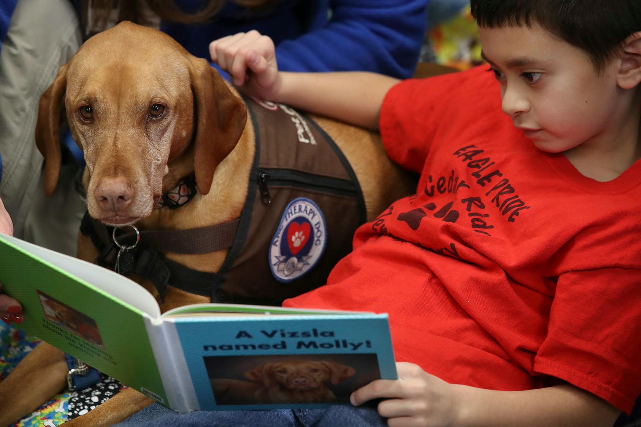 Kai Pat 7, read to Molly a Vizsla therapy dog, with her owner Connie Priesz at Cedar Ridge Elementary School Monday October 30,2017 in Eden Prairie, MN.