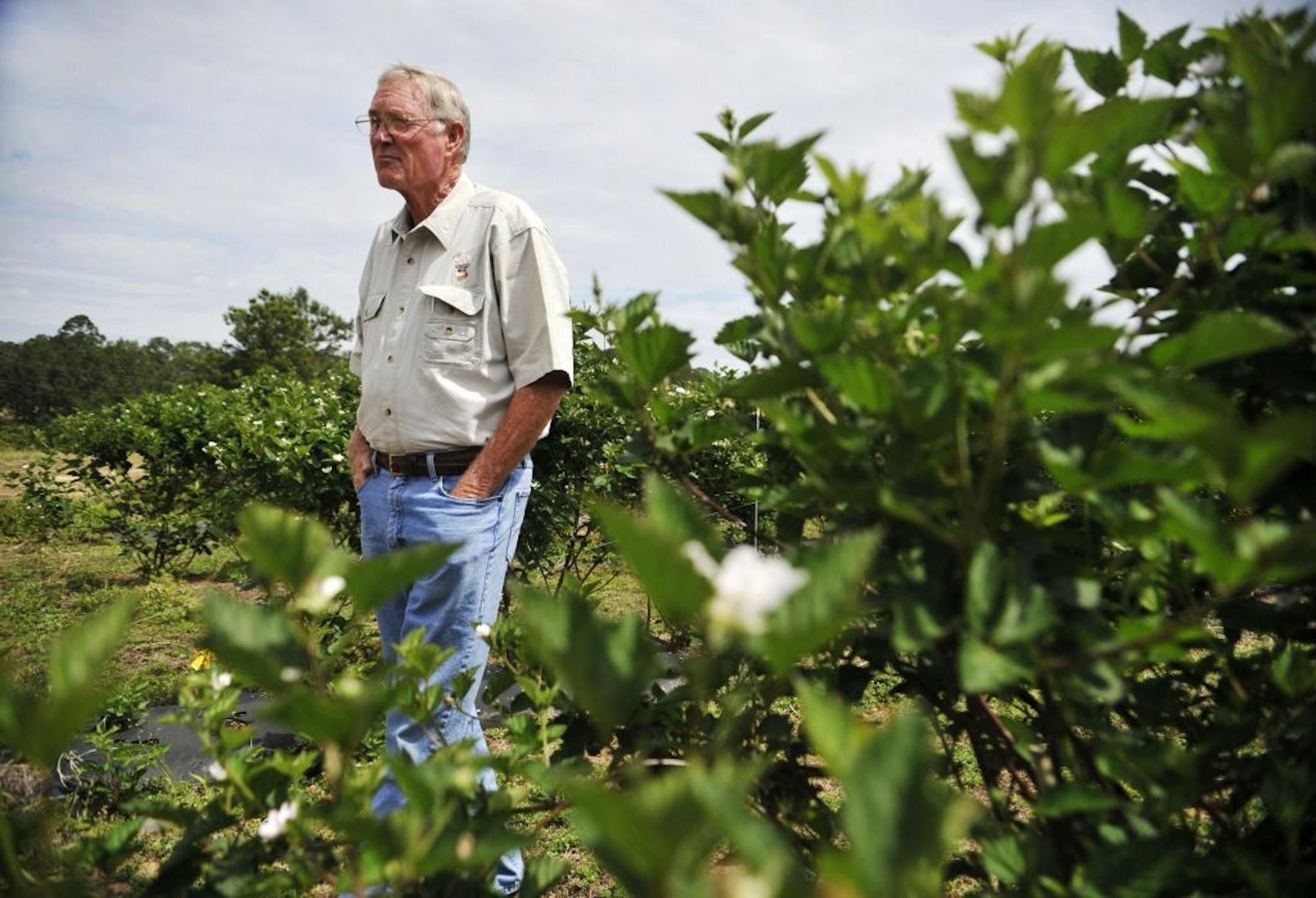 Darvin Eason, who lost money after Georgia passed an immigration law last year and many of his workers fled the state, at his farm in Lenox, Ga., April 18, 2012. Eason is one of many people who will be watching closely when the Supreme Court hears arguments April 25 on the disputed immigration enforcement law passed two years ago in Arizona that inspired similar statutes in Georgia and other states.