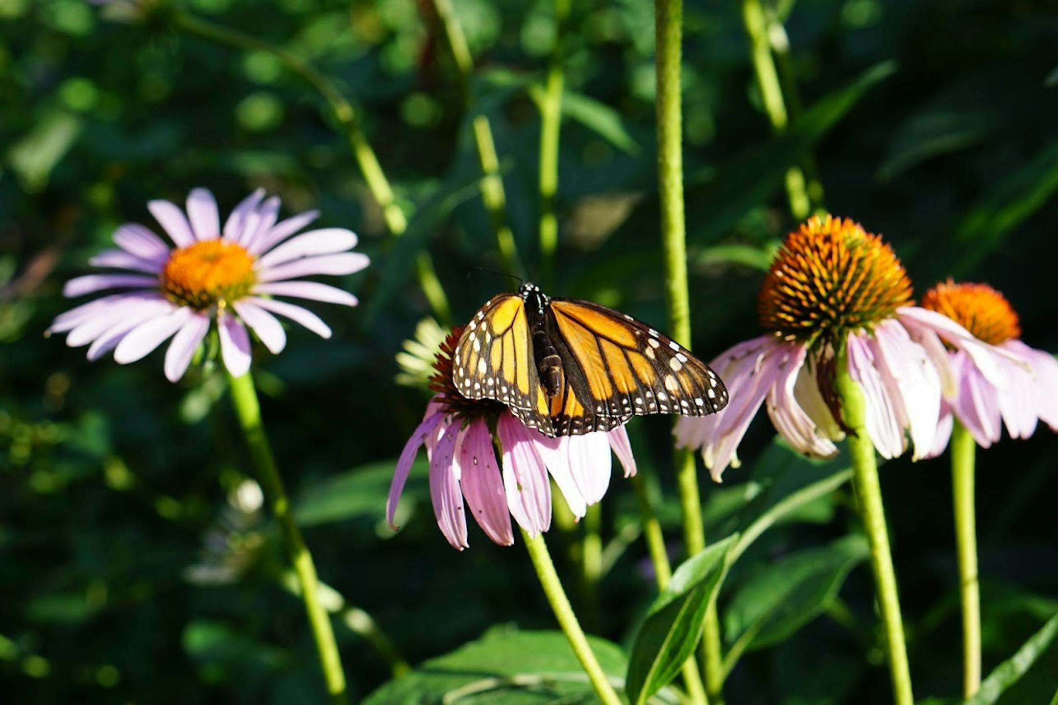 Keep that summer feeling going into the fall with books.
