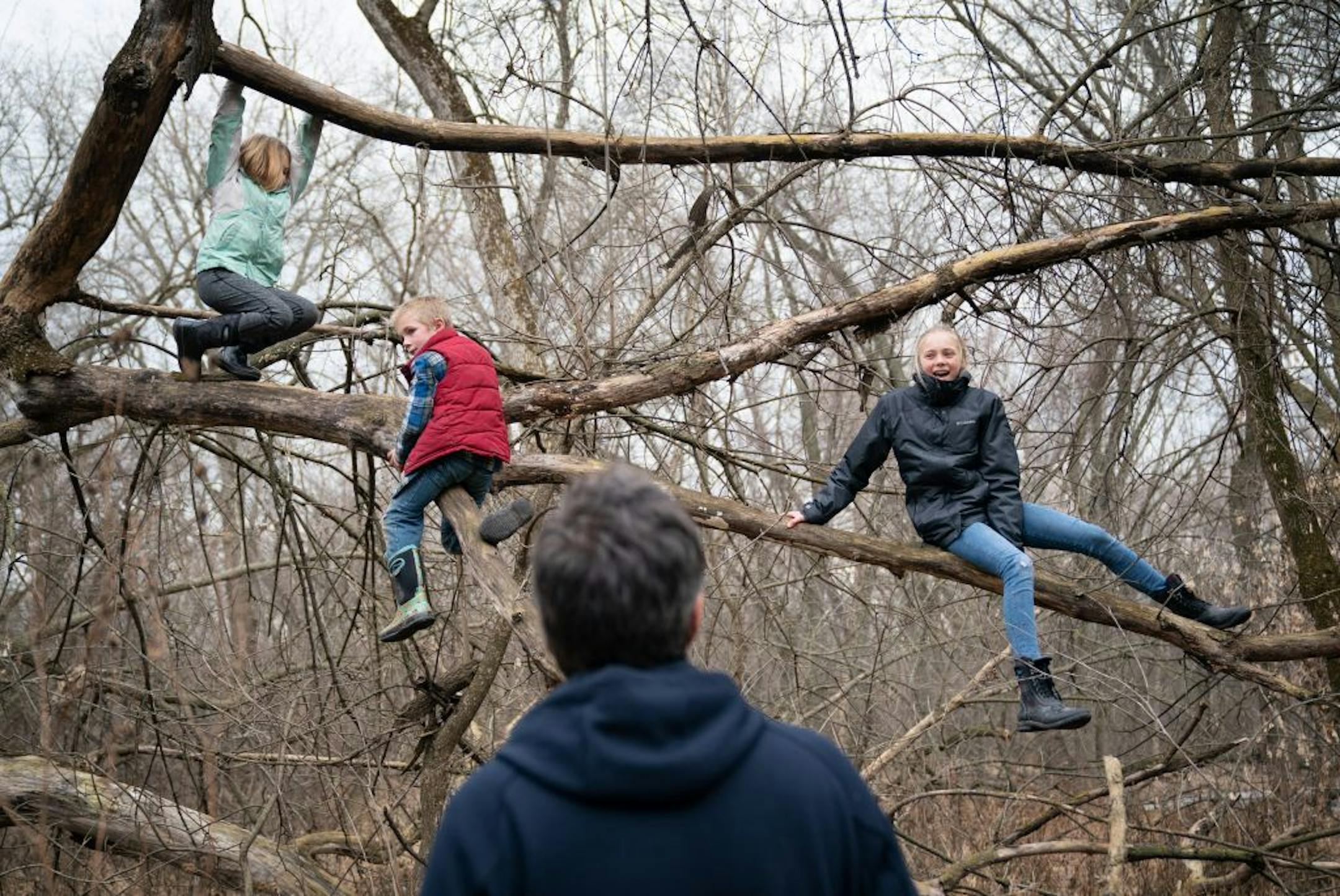 Bill Zippel encouraged his kids Mimi, 9, Leo, 7 and Lilly, 14, as they climbed trees at Fort Snelling State Park during Free Park Friday. The family is from Milwaukee and were visiting relatives in Minnetonka.