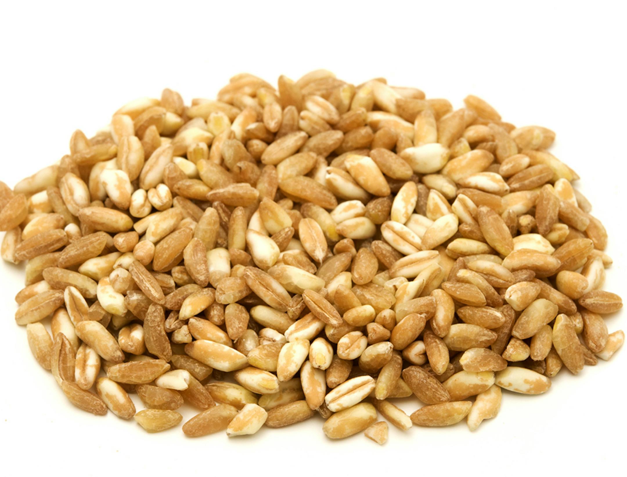 Farro on a white background, from istock