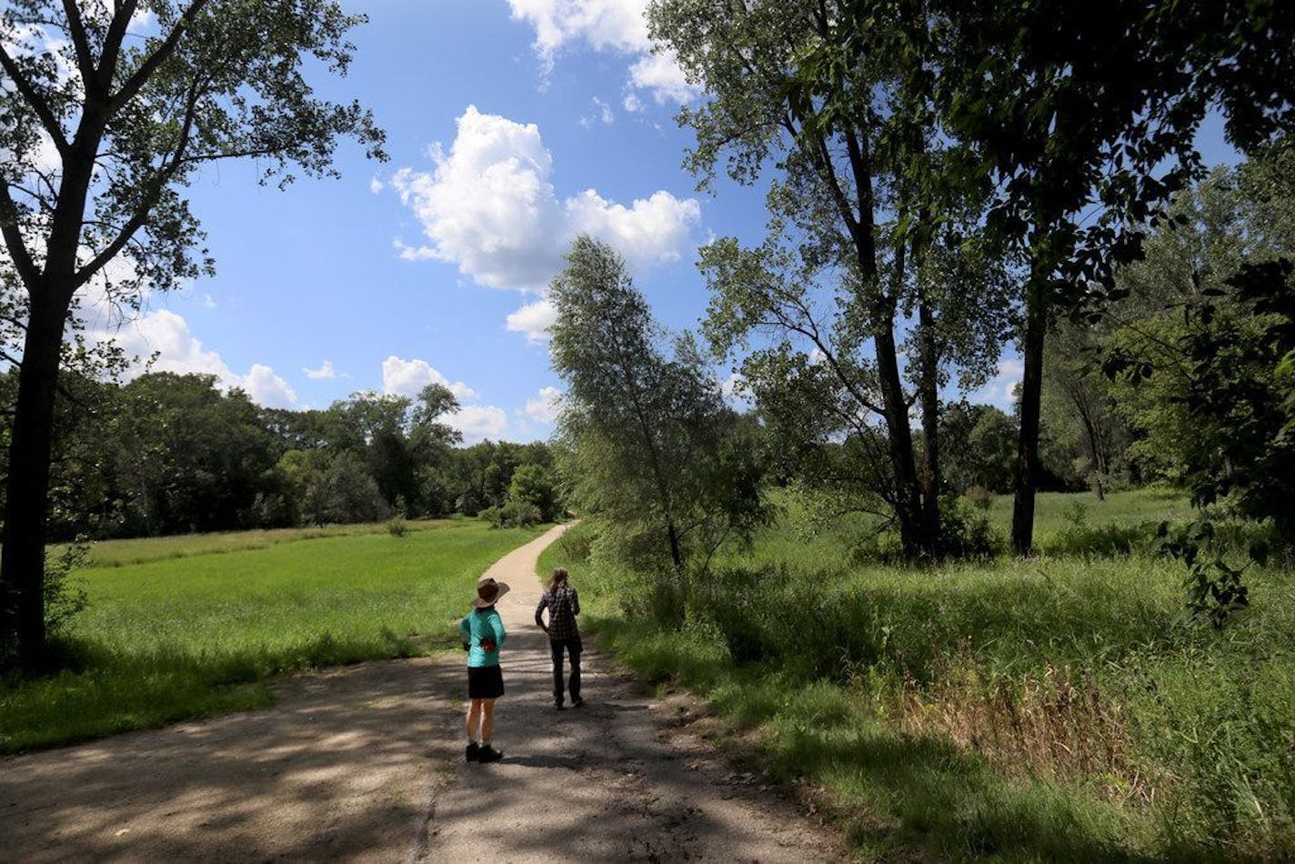 Heather Holm, right, a bee and pollinator expert from Minnetonka and member of Protect Our Minnetonka Parks, and Maureen Hackett, a local naturalist, left, walked the trails of Lone Lake Park, in search of rusty patched bumble bees in 2018.