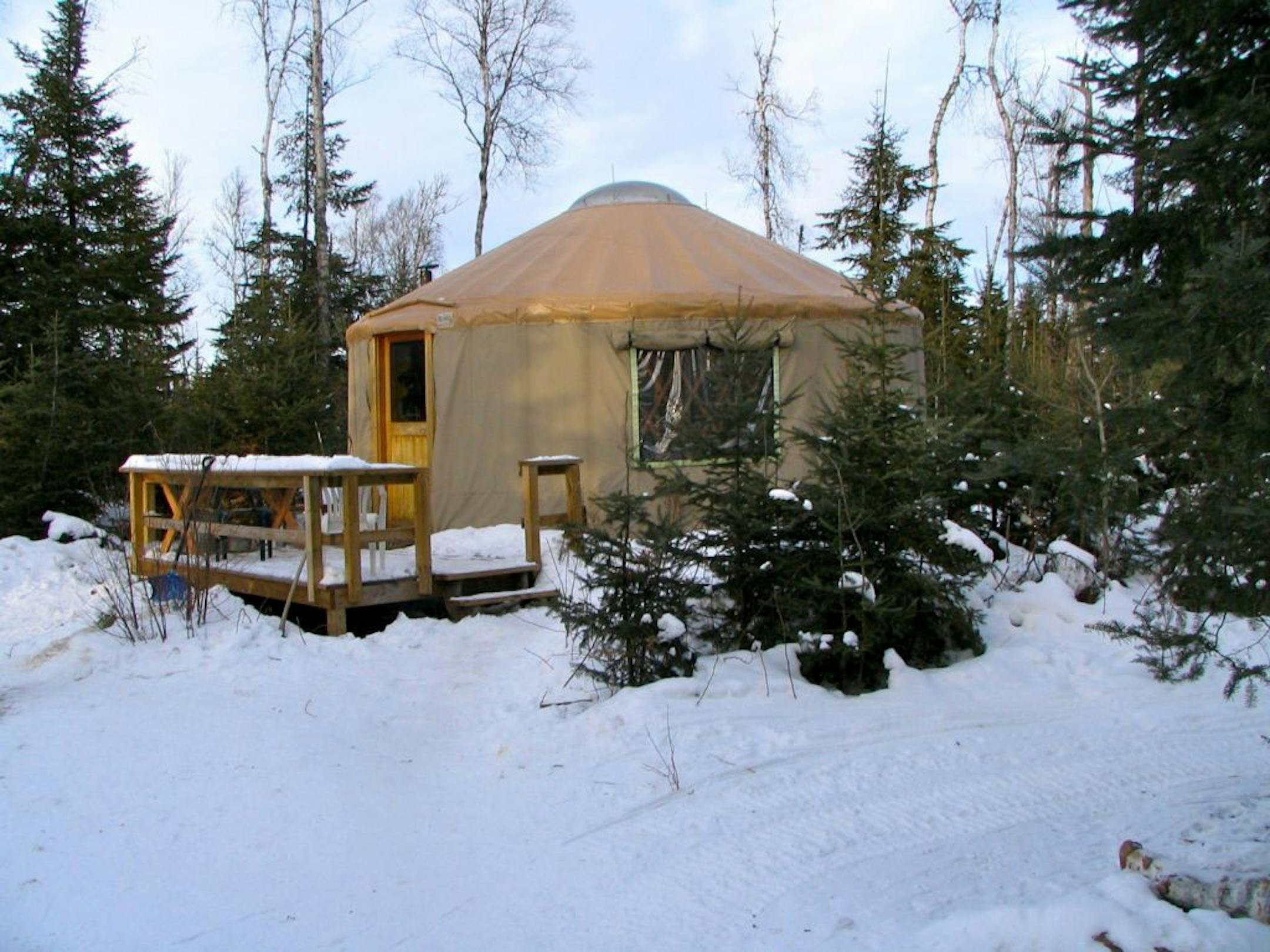 Tall Pines Yurt