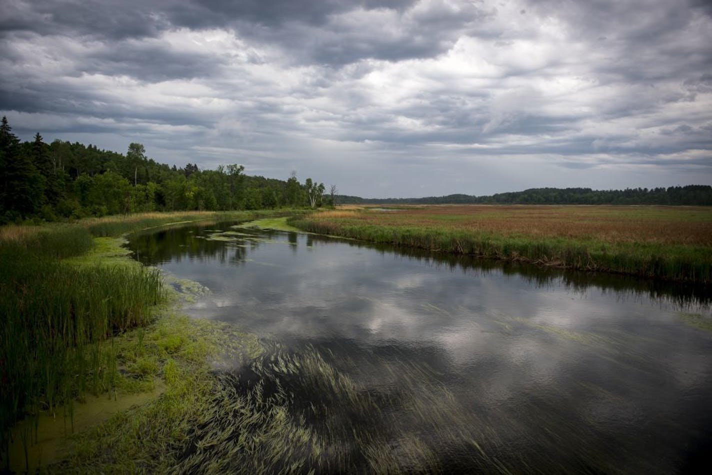 The upper Mississippi River between its headwaters in Itasca State Park and Bemidji in mid June.