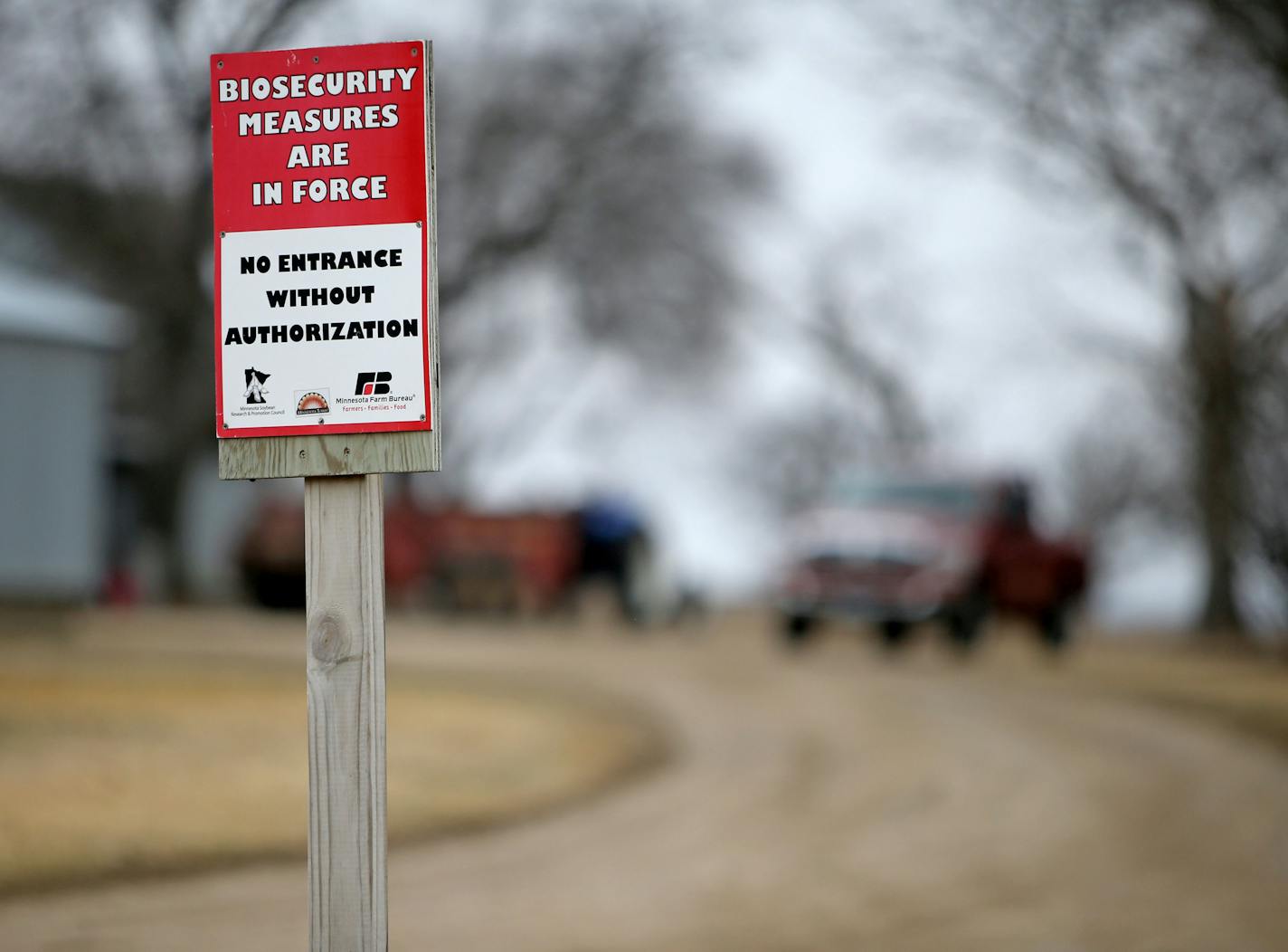 A turkey farm in the control zone effected by the bird flu Thursday, April 9, 2010, in Melrose, MN.](DAVID JOLES/STARTRIBINE)djoles@startribune.com DNR officials scour the banks of the Sauk River for waterfowl droppings, hoping to find a link to a bird flu that is sweeping through turkey-producing country. Nine Minnesota turkey farms have been hit by the bird flu in recent days.