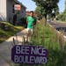 Quentin Nguyen with his boulevard garden, planted for pollinators with liatris