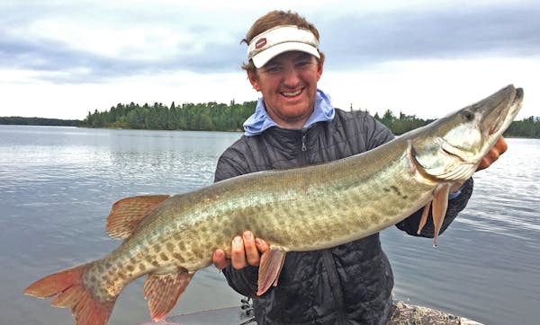 Trevor Anderson with a Lake of the Woods muskie taken on a Jackpot, a surface bait that resembles an injured fish when retrieved.