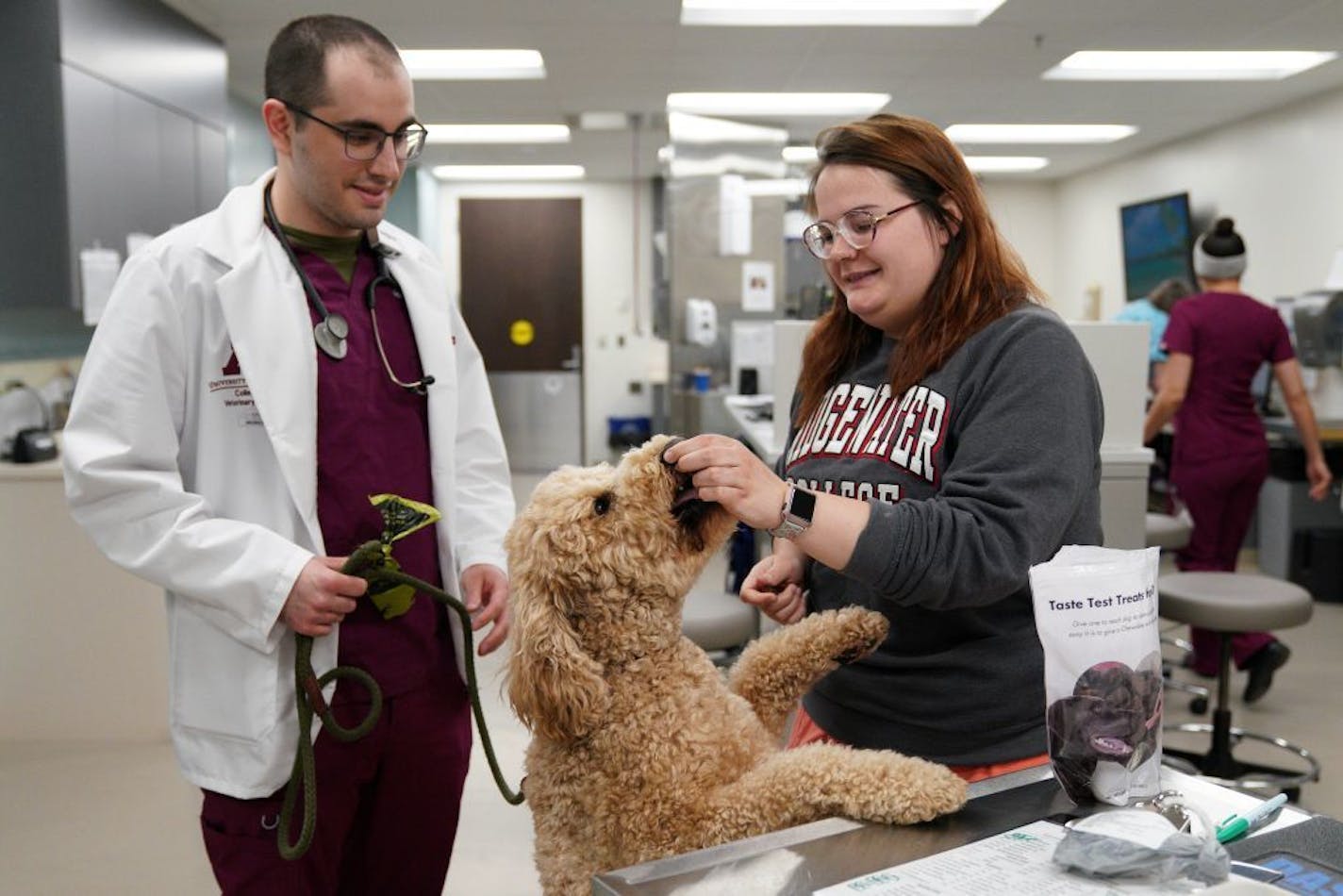 Rachellee Sigler, a certified vet tech, fed Gary, a 4-year-old goldendoodle, before she and fourth-year vet student Andrew Kaplan did an examination at the University of Minnesota Veterinary Medical Center.