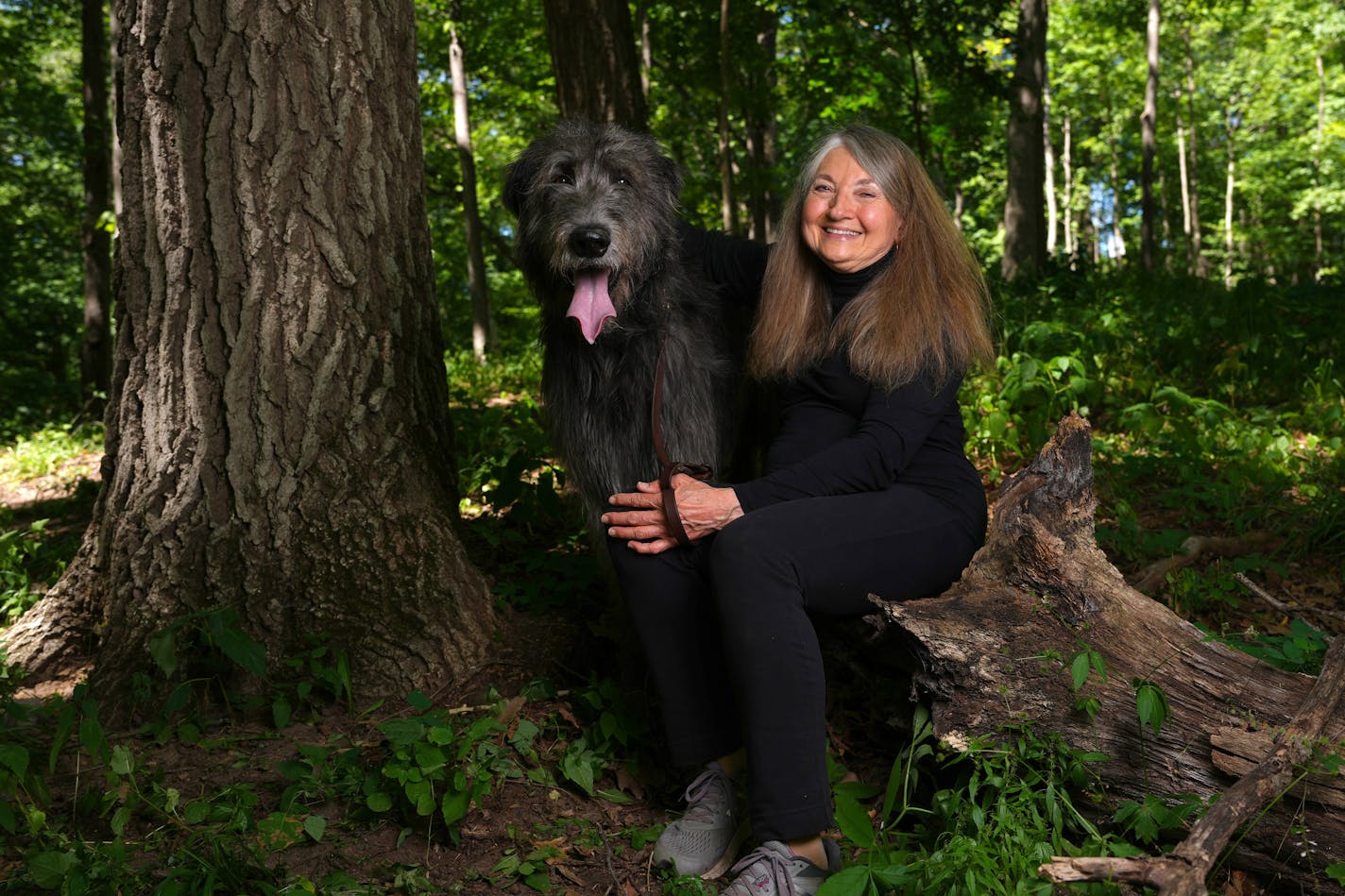 Marilyn McClaskey sits for a portrait with her 4-year-old Irish wolfhound, Coal, under the large oak in Better Place Forest where she and her dog's ashes will be interred together Thursday, Aug. 4, 2022 in Marine on St. Croix, Minn. ] ANTHONY SOUFFLE • anthony.souffle@startribune.com