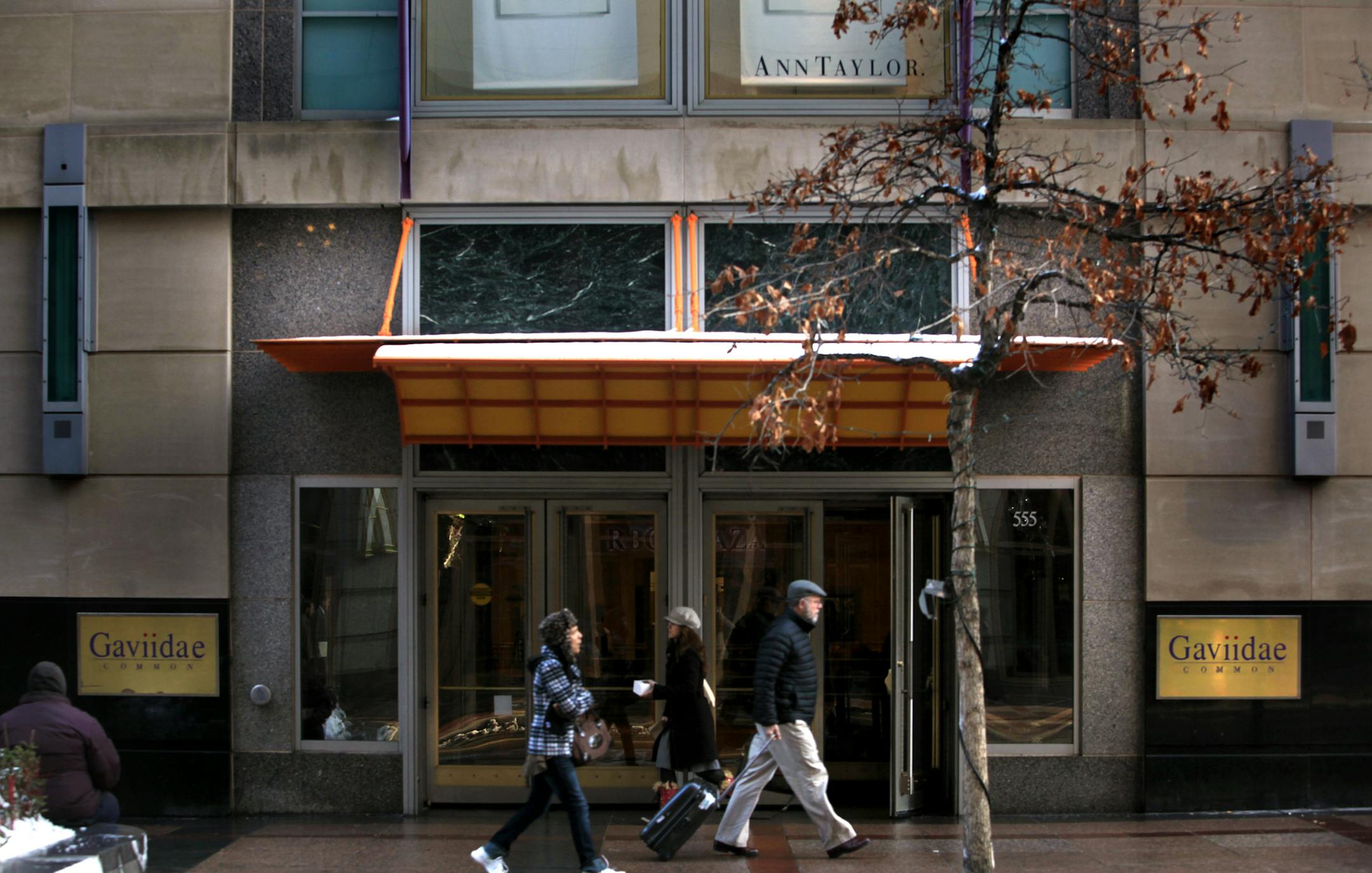 Gaviidae Common in downtown Minneapolis. A real estate firm has purchased its former Neiman Marcus store.