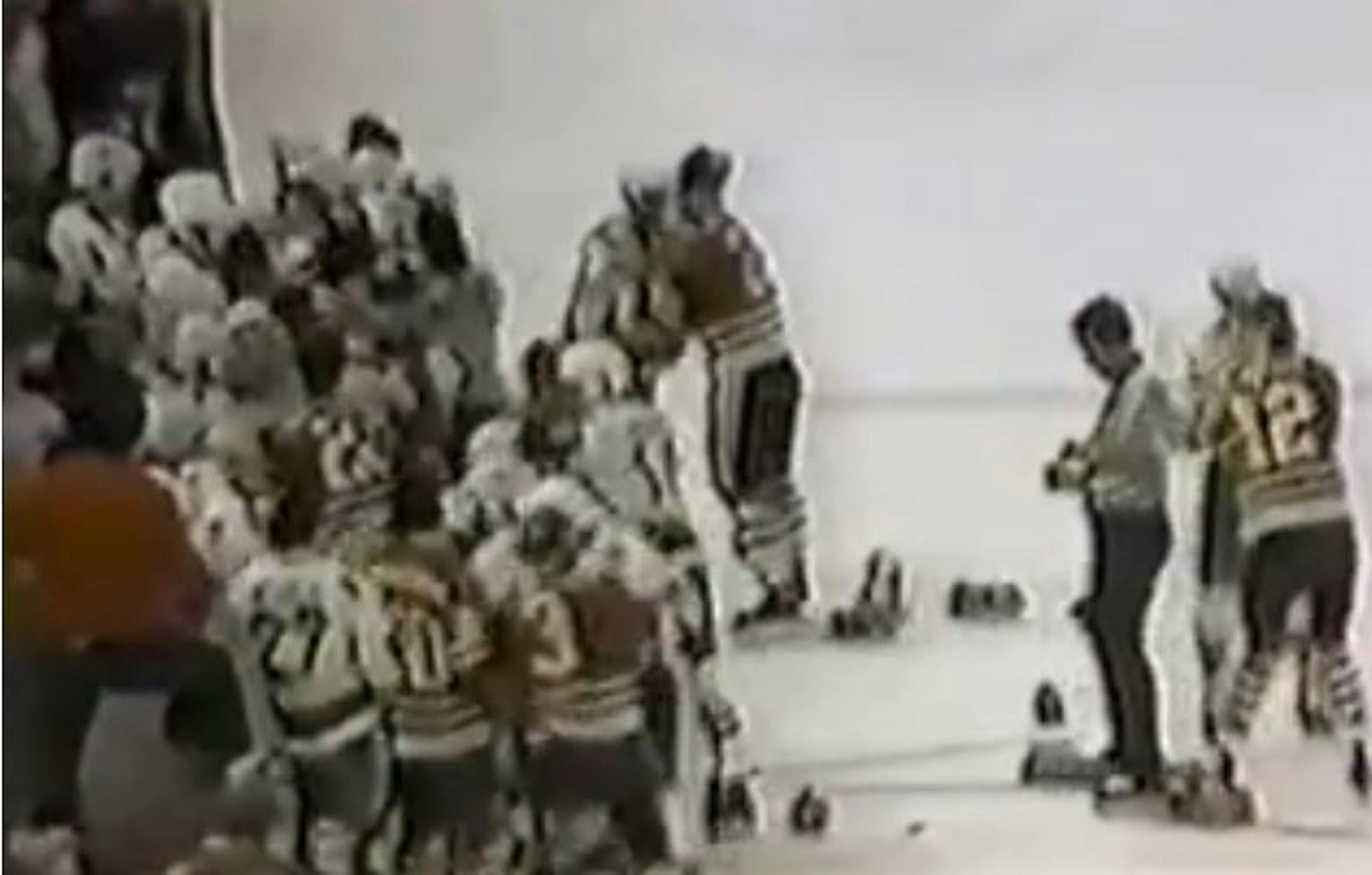 A bench-clearing brawl between the teams in 1985 at Met Center.