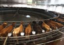 The milking carousel at Louriston Dairy in Murdock, Minn, operated by Riverview LLP, in a 2018 file photo.