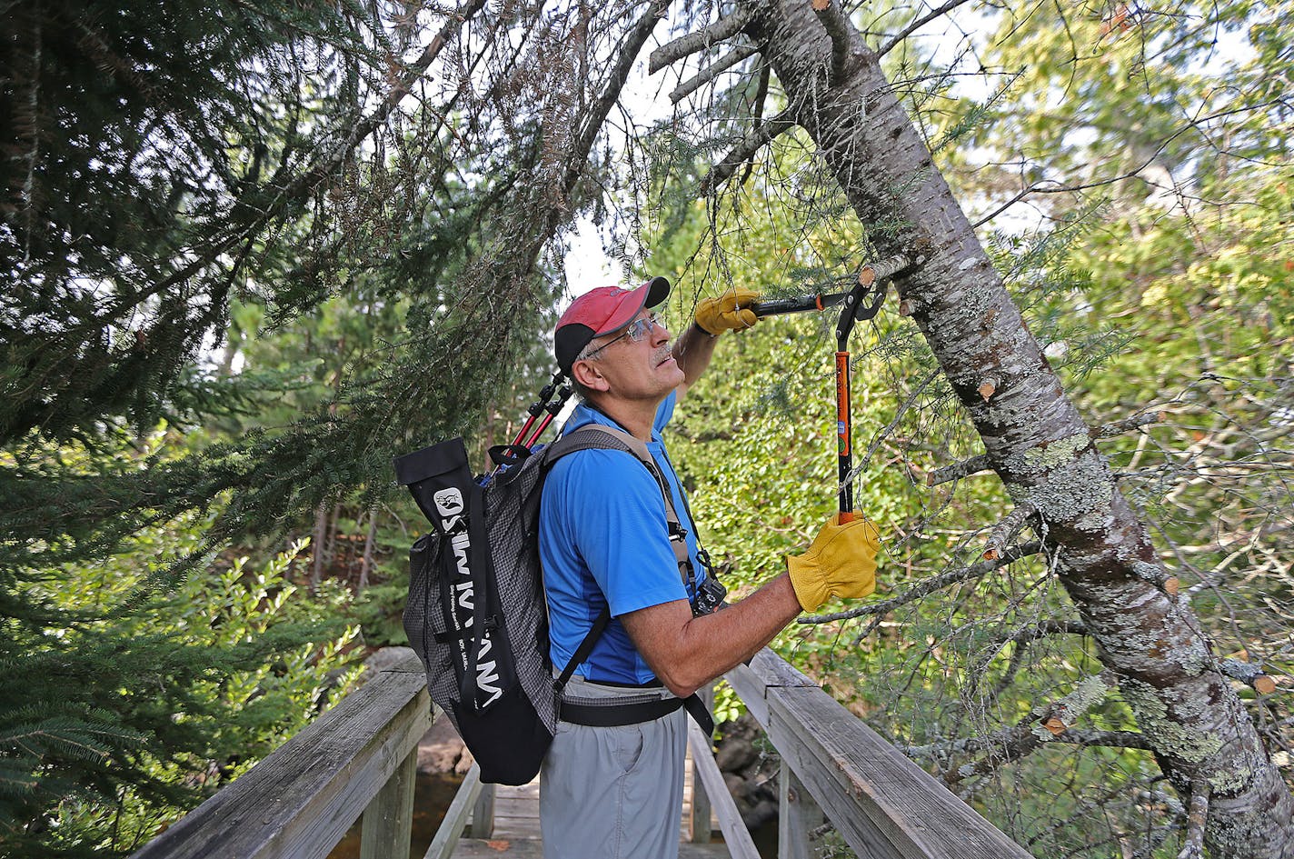 Martin Kubik trimmed a tree that hung over the Powwow Trail on Aug. 23 in the Boundary Waters Canoe Area Wilderness near Isabella, Minn.