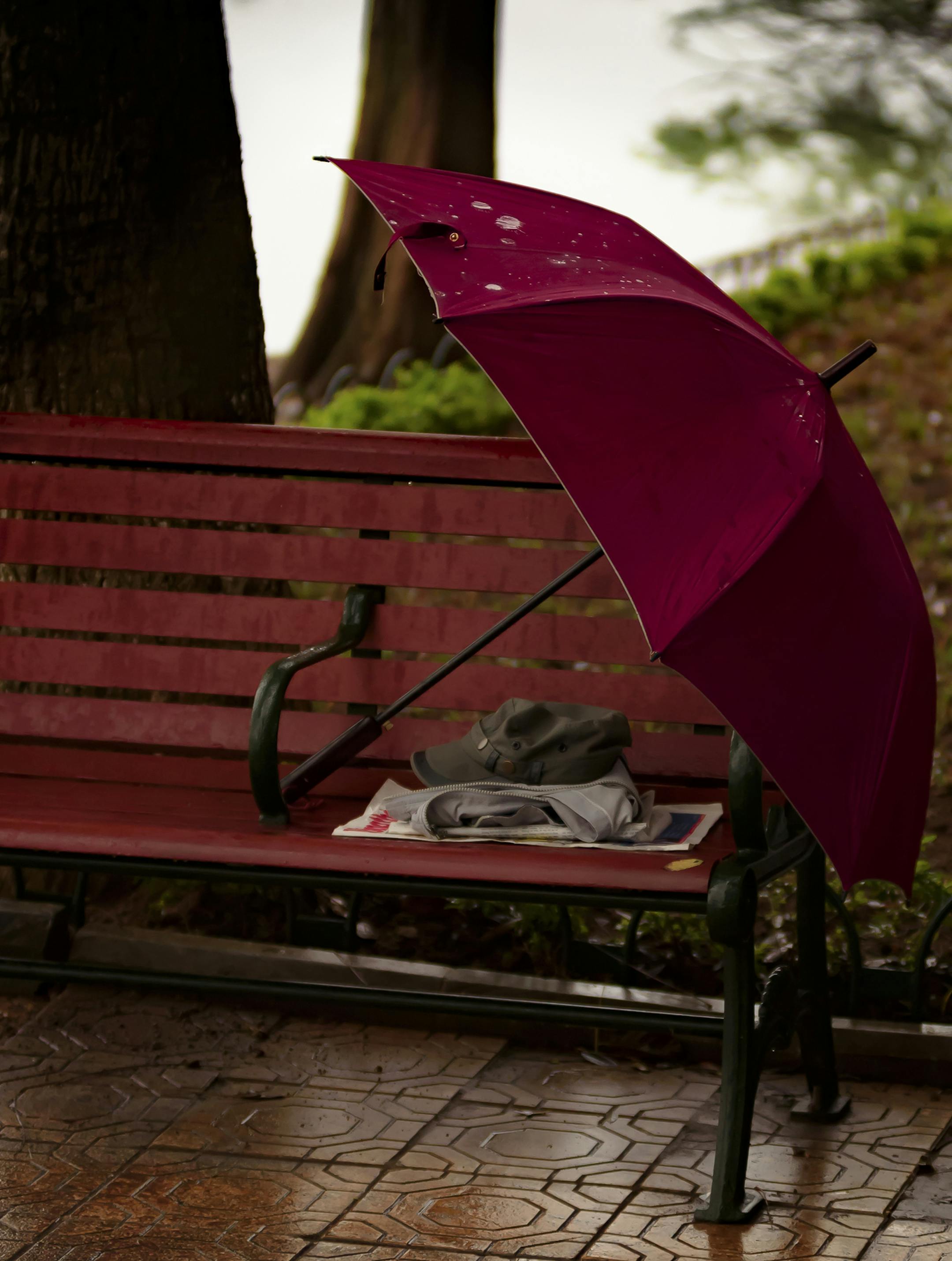 Ed Backstrom of Minneapolis was in Hanoi last April taking part in a photography workshop. "In an early morning light rain we went to a lake near the old section of Hanoi where many locals would work out. That day the owner of the umbrella put his paper, jacket and hat under it to protect them from the rain while he worked out." [focus040917