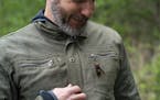 Chris Looney, a Washington State entomologist, displays a dead two-inch Asian giant hornet on his jacket in Blaine, Wash. on April 23, 2020. Sightings