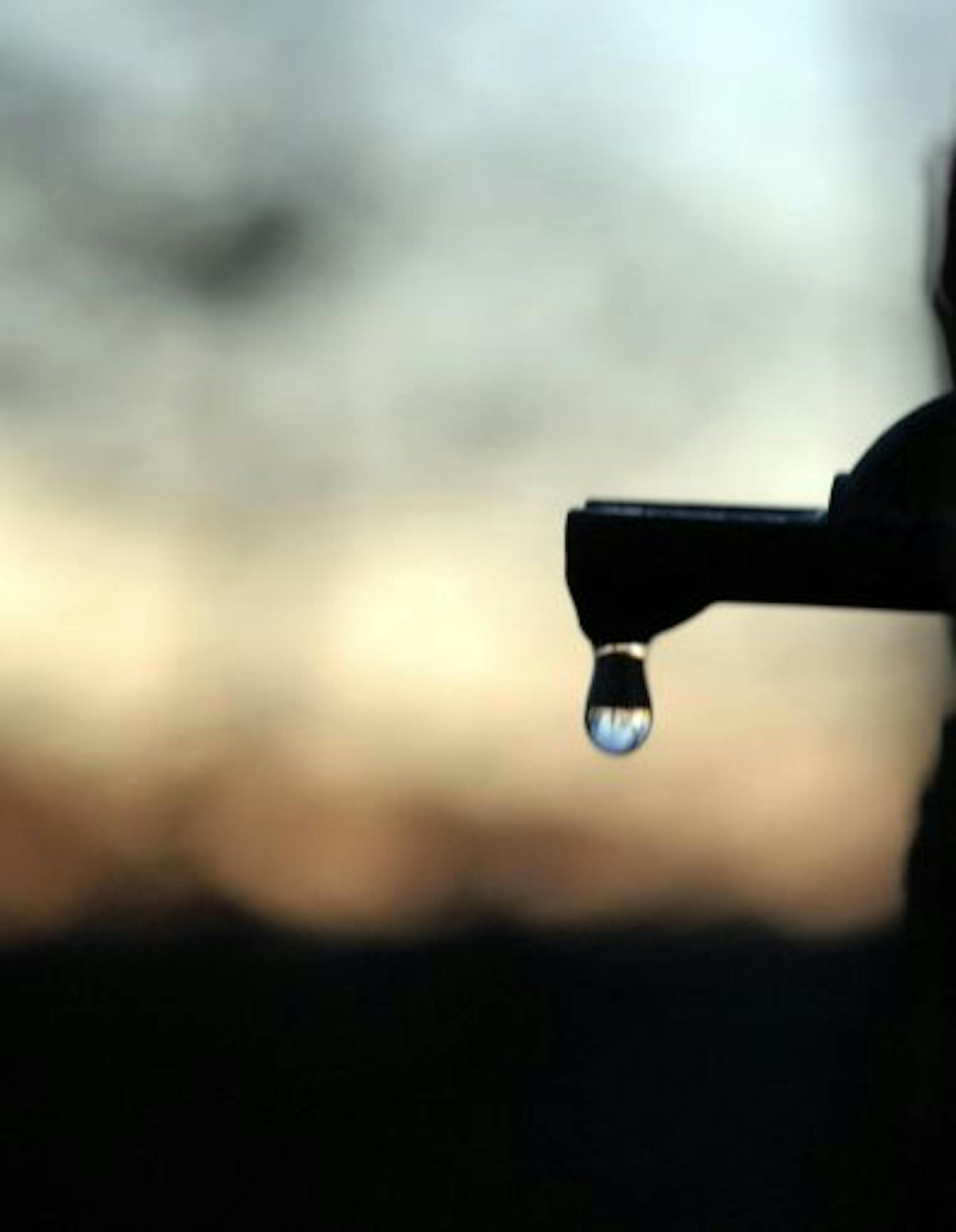 One drip at a time, sap from maple trees is collected to be cooked over an arch, or wood-burning stove, to make syrup.