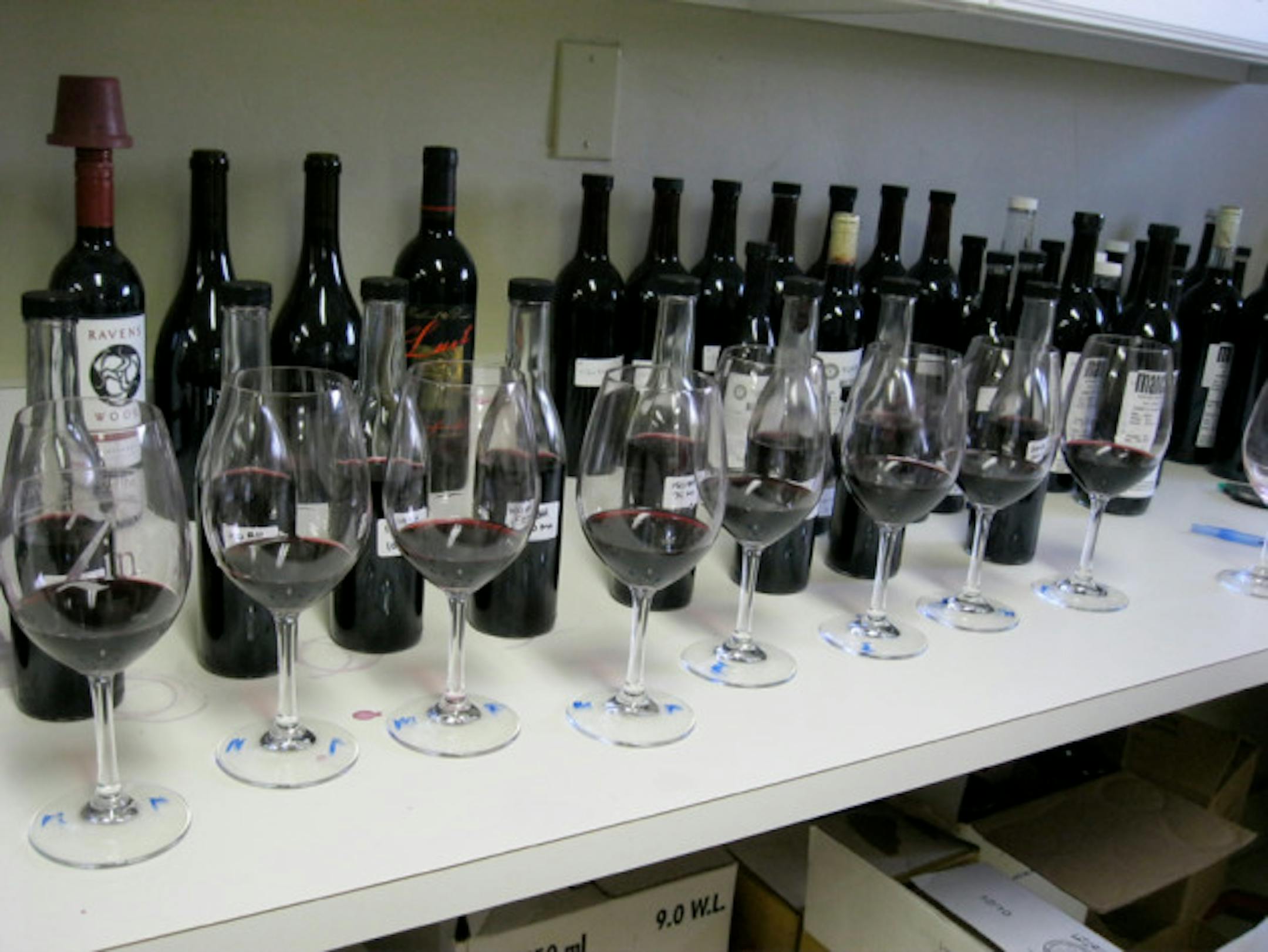 Tasting trials in the lab ...