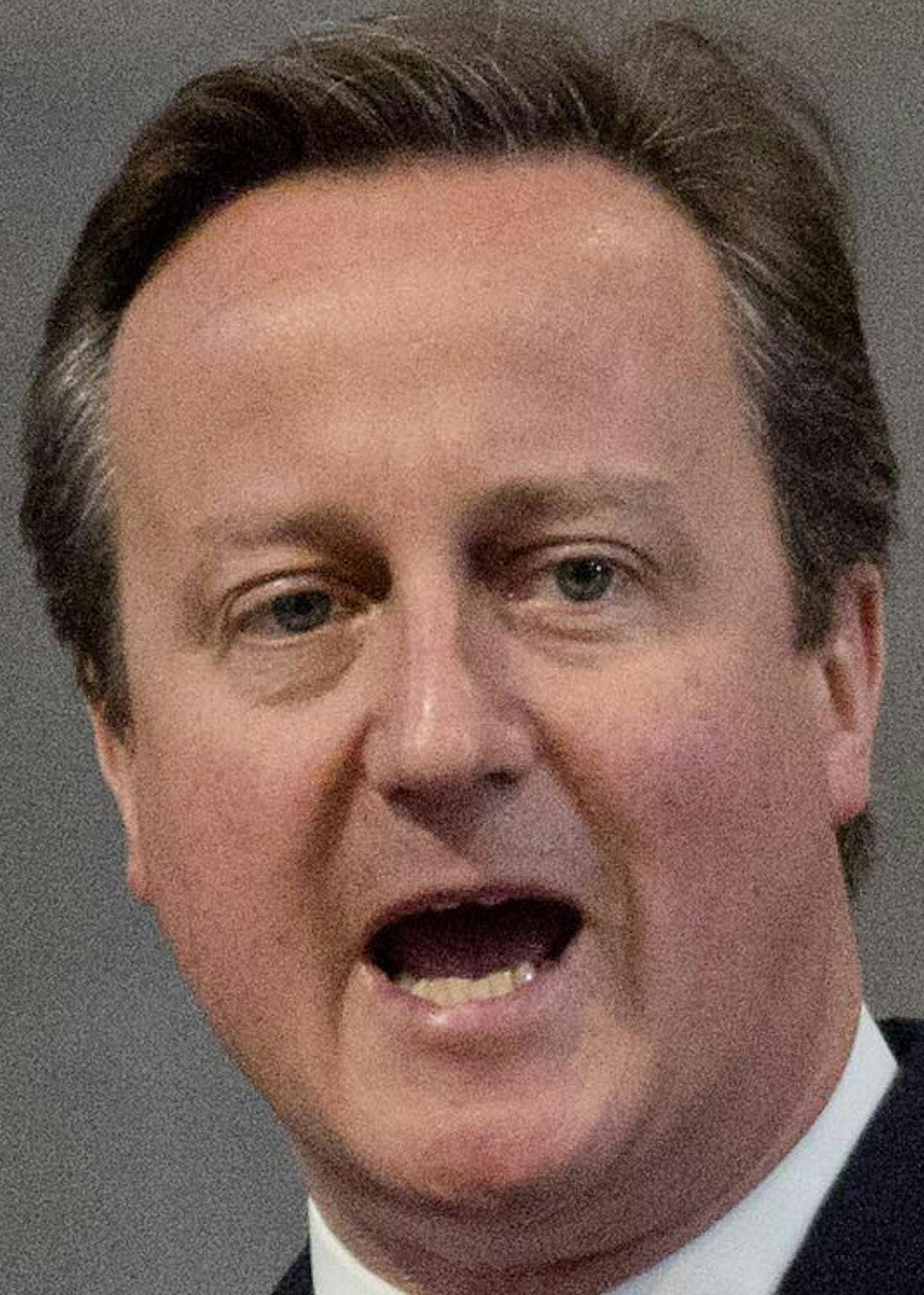Britain's Prime Minister David Cameron speaks during a National Service of Thanksgiving to mark the 90th birthday of Britain's Queen Elizabeth II at St Paul's Cathedral in London, Friday, June 10, 2016. Queen Elizabeth II is celebrating her official 90th birthday with a three-day series of festivities starting Friday, on what is also her husband Prince Philip's 95th birthday. The queen's real birthday is in April. (Jenny Goodall/Pool Photo via AP)