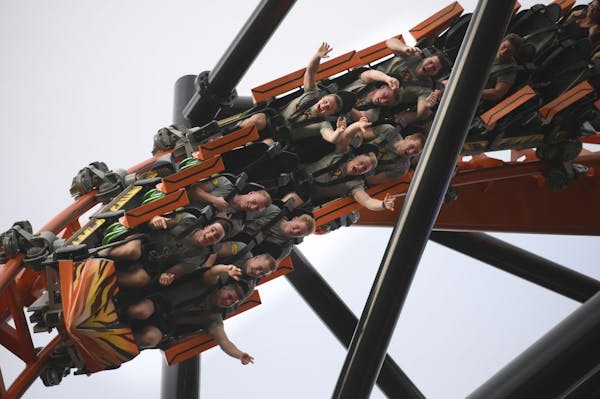 Gophers players took a ride on the Tigris roller coaster Saturday at Busch Gardens in Tampa, Fla.