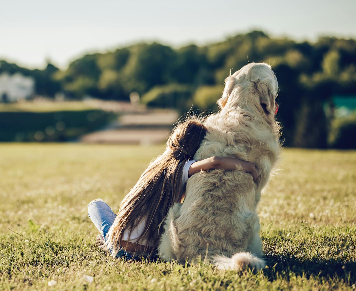 Kids can easily be taught how to behave around dogs.