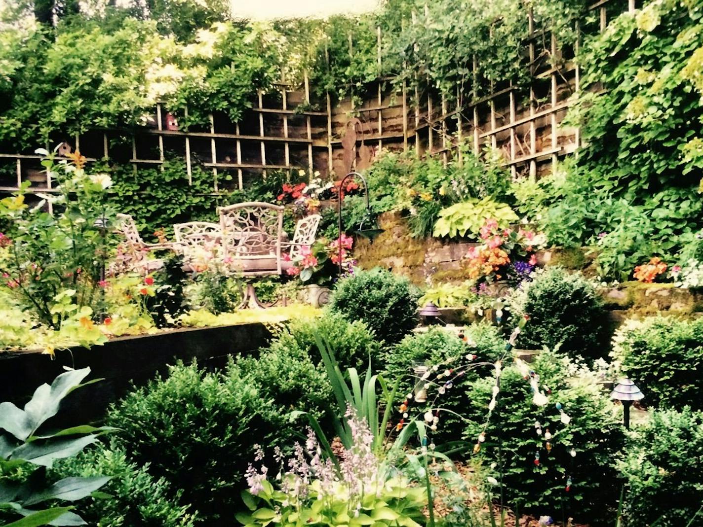 A secret, terraced garden: Stephanie and Fred Groth's backyard garden in Eagan may be small but packs a lot of punch, both in color and variety.