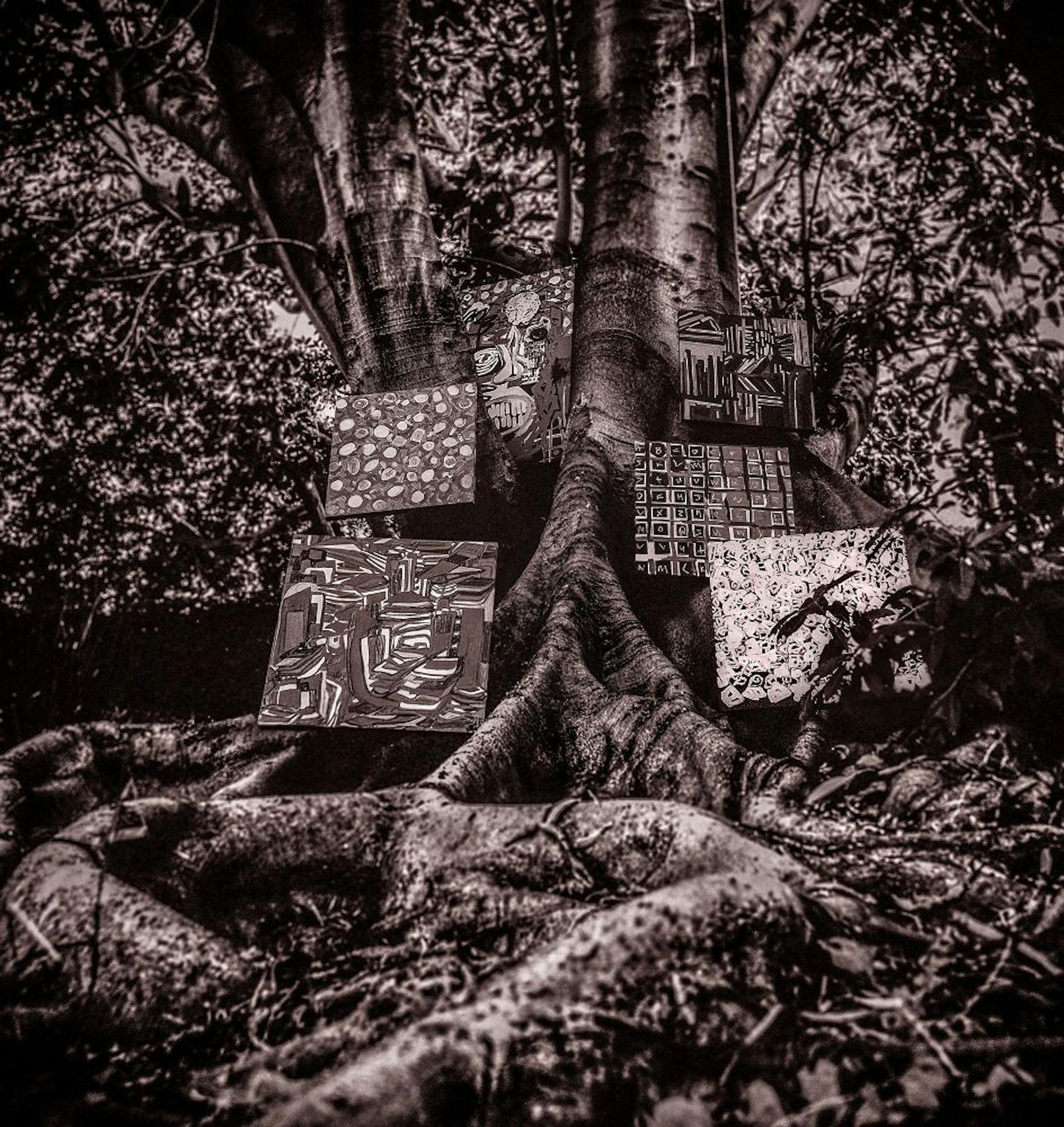 Kamsai Washington, ìHarmony of Differenceî