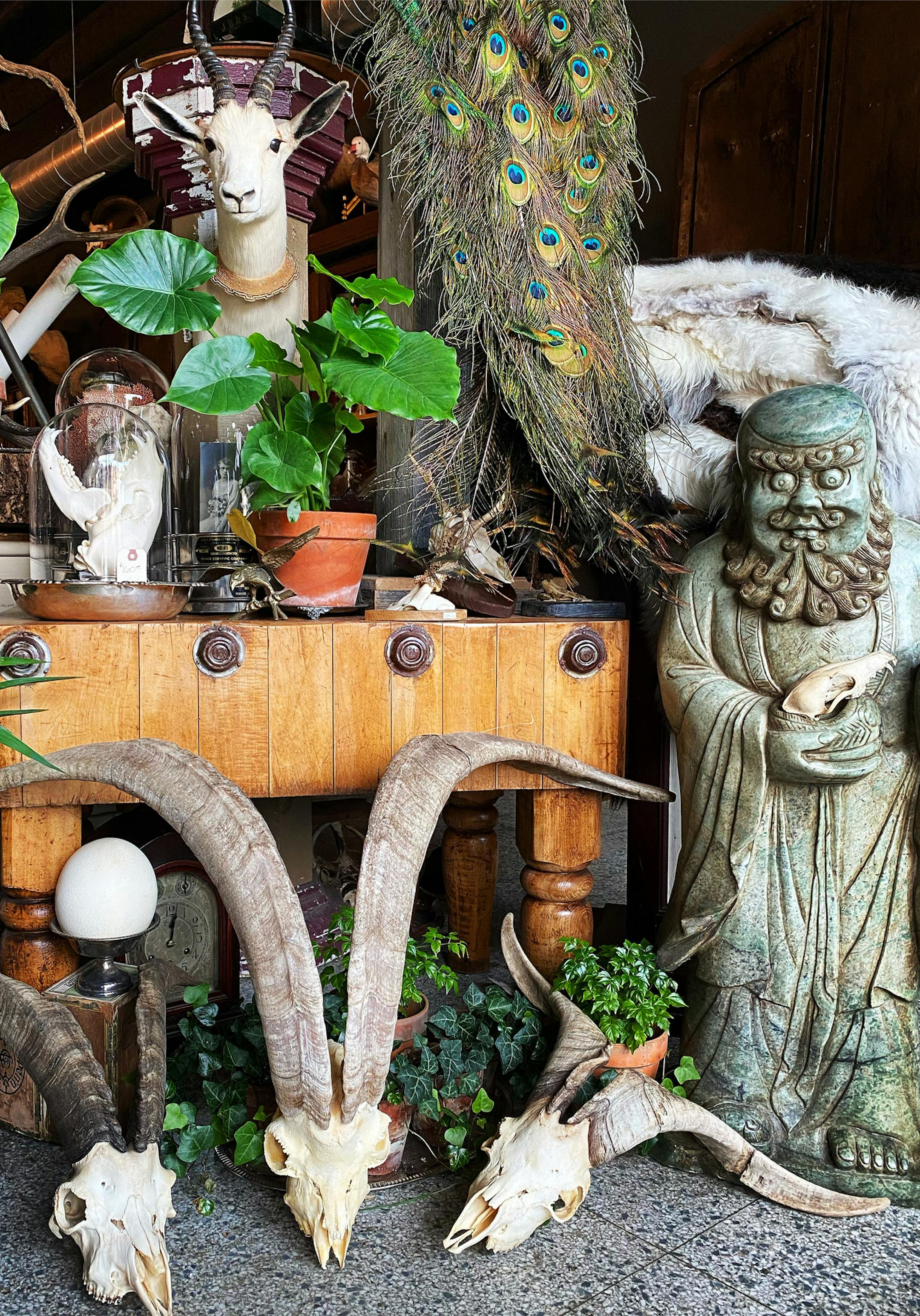 ProvidedAdam DeJarlais was born into the antiques business. After a few detours, he opened Twelve Vultures in July 2020.