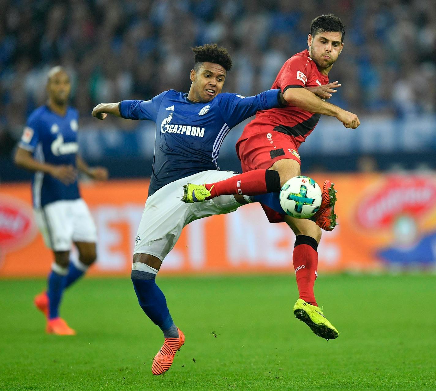 Schalke's Weston McKennie, left, and Leverkusen's Kevin Volland challenge for the ball during the German Bundesliga soccer match between FC Schalke 04 and Bayer Leverkusen at the Arena in Gelsenkirchen, Germany, Friday, Sept. 29, 2017. (AP Photo/Martin Meissner)