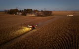 Ben Johnson’s father Steve Johnson drives a Case IH Combine harvesting corn on Ben’s field adjacent to his family home, in the background, during the 2025 harvest.
Wednesday October 22, 2025 

Glen Stubbe for The Minnesota Star Tribune