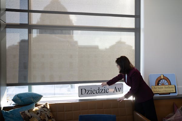 Majority Leader-elect Kari Dziedzic was figuring out how to arrange her new office in the Minnesota Senate Building last week. 