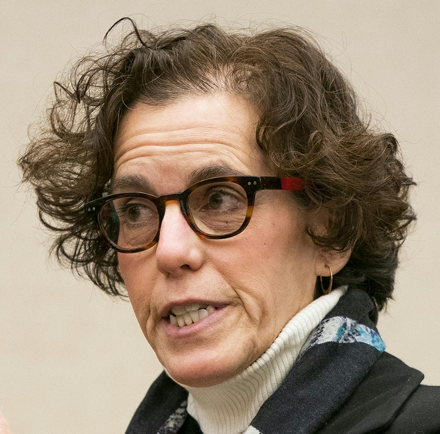 Minneapolis City Attorney Susan Segal argues against a temporary restraining order. ] LEILA NAVIDI &#xa5; leila.navidi@startribune.com BACKGROUND INFORMATION: Judge Joseph Klein will decide whether to grant a temporary restraining order to delay the passing of the Minneapolis 2040 Comprehensive Plan in Hennepin County District Court on Thursday, December 6, 2018. A group filed a suit days before the vote claiming the plan has the potential for negative environmental effects in the city.