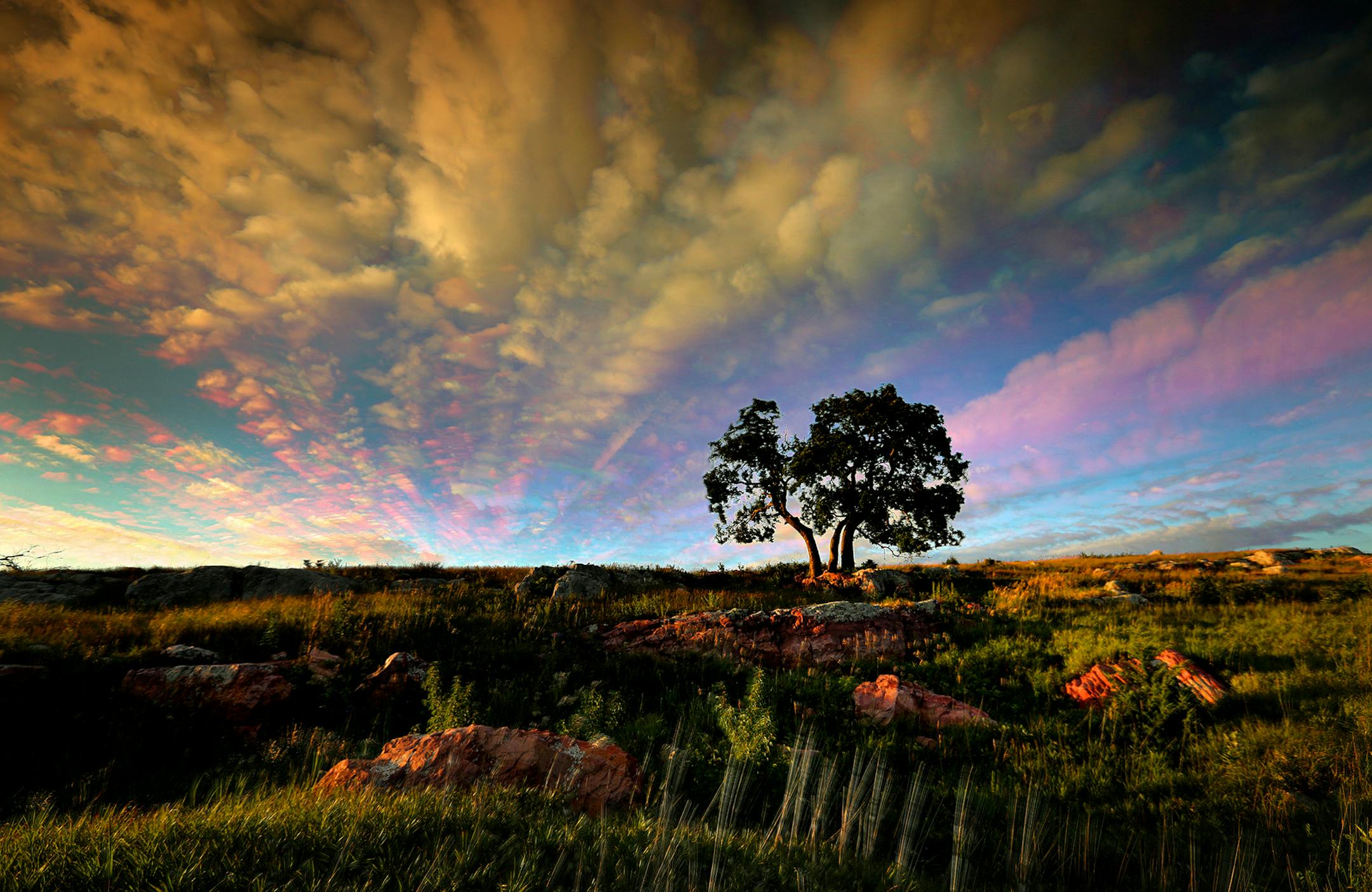 Waves of clouds paint the sky as late afternoon sun skims across the prairie framing the Three Sisters Hackberry Tree at Blue Mounds State Park. This is a multi-frame exposure of passing clouds. ] Minnesota State of Wonders - Summer on the Prairie. BRIAN PETERSON ¬• brian.peterson@startribune.com Luverne, MN 08/02/14 ORG XMIT: MIN1408071220023726