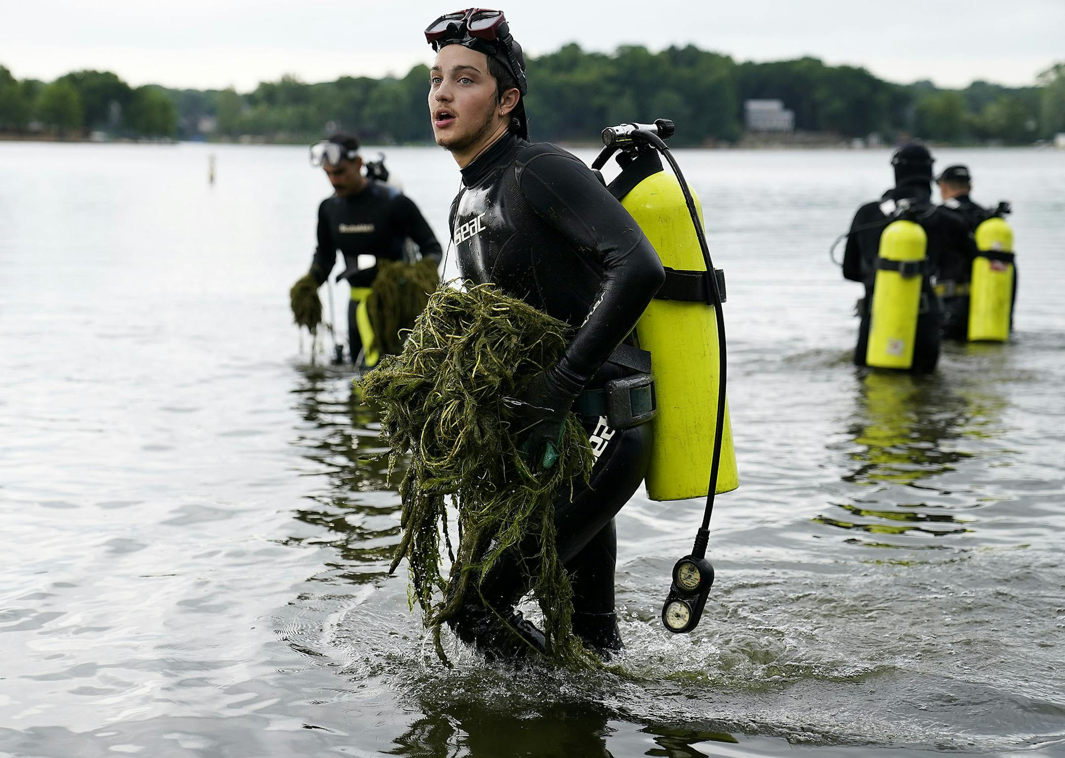 Diver Joe Reichling removed Eurasian watermilfoil from the water near a lakeside home in Prior Lake.
