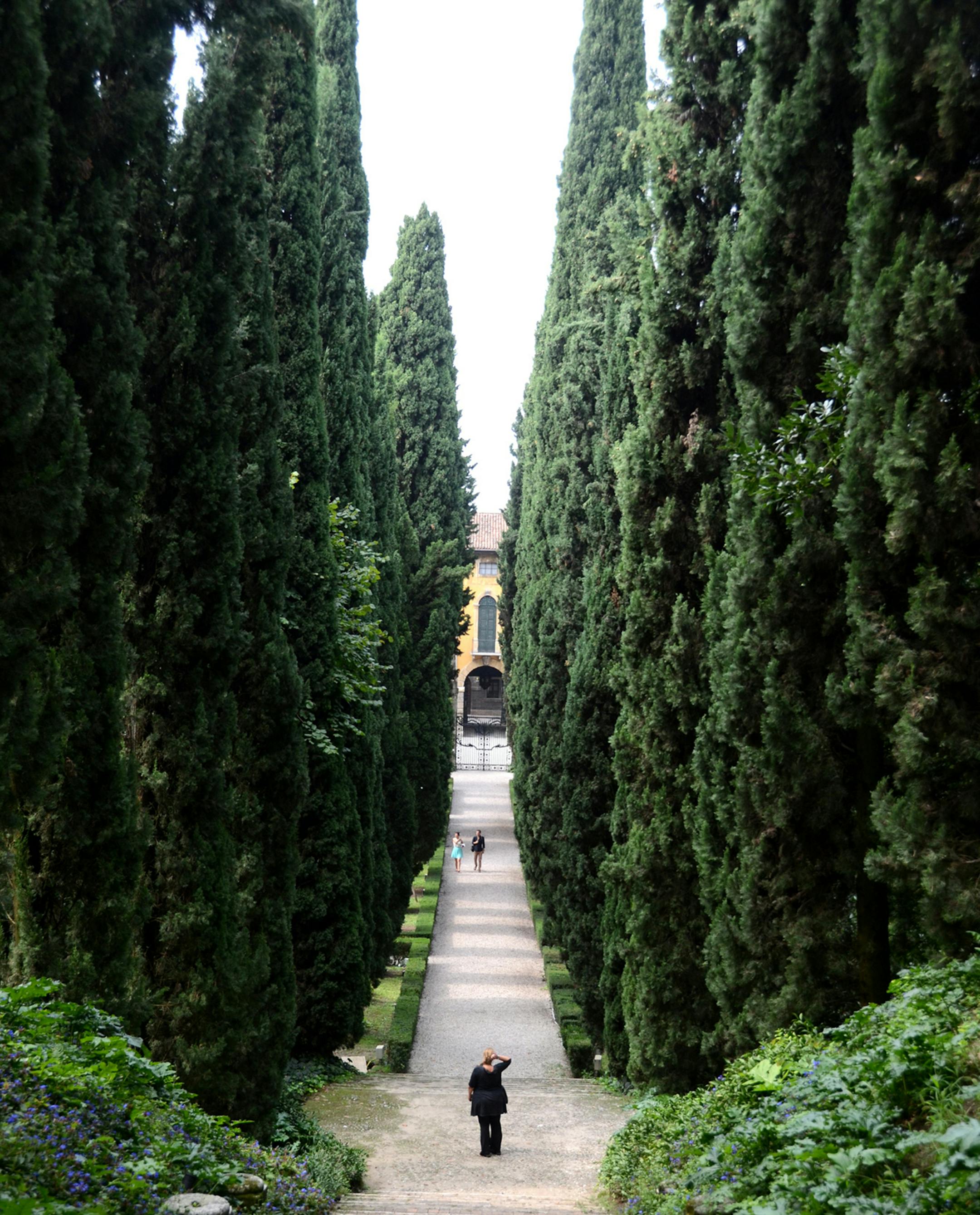Giant cypress trees dwarf visitors at the Giusti Garden in Verona, Italy. The huge trees are part of what makes this garden spectacular. (Doug Oster/Pittsburgh Post-Gazette/TNS)