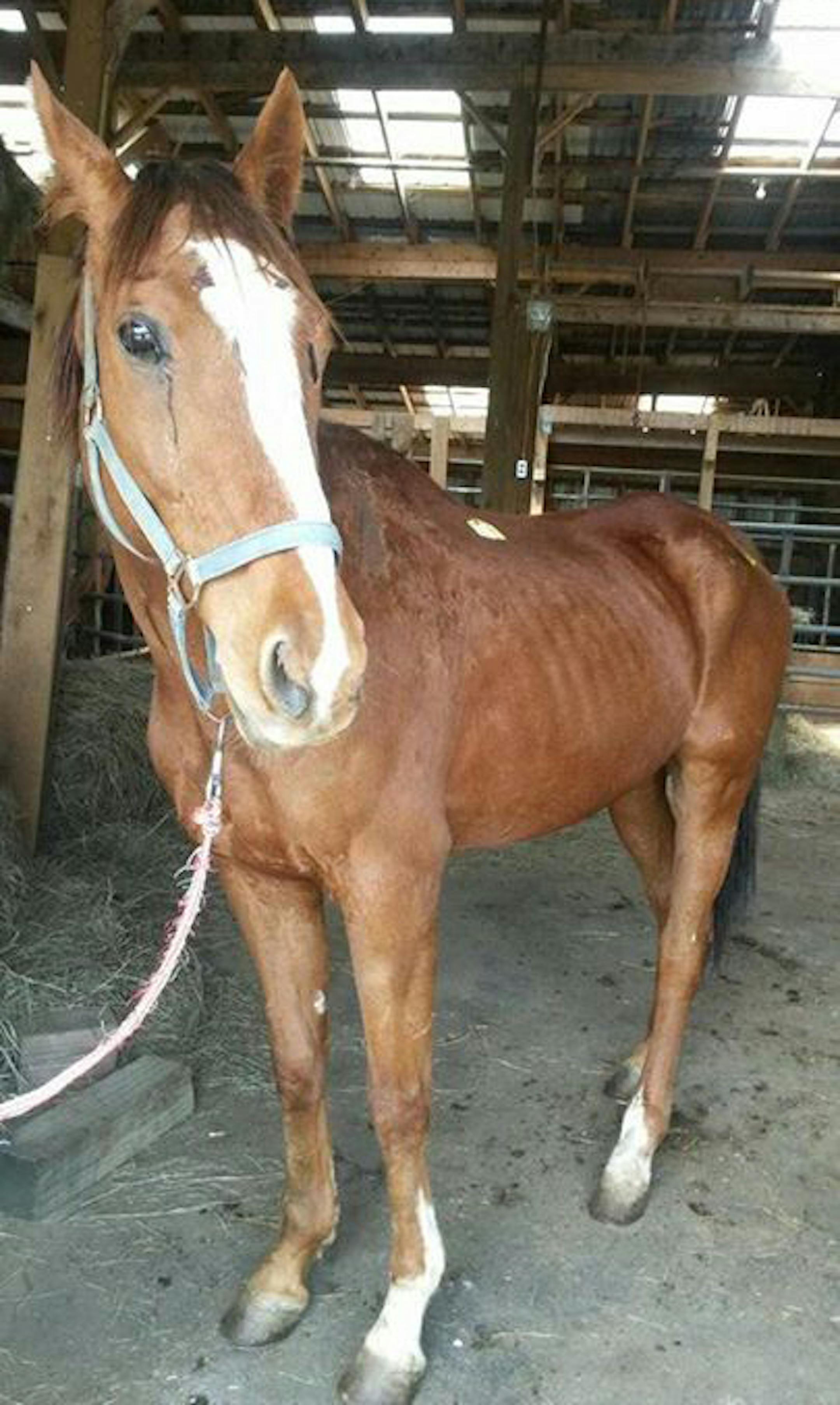 ORG XMIT: gGz4p7avXXw8lbCLhb5R