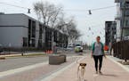 Trisha Downing walks her dog on the newly reconstructed 8th Avenue, which is transforming into The Artery.