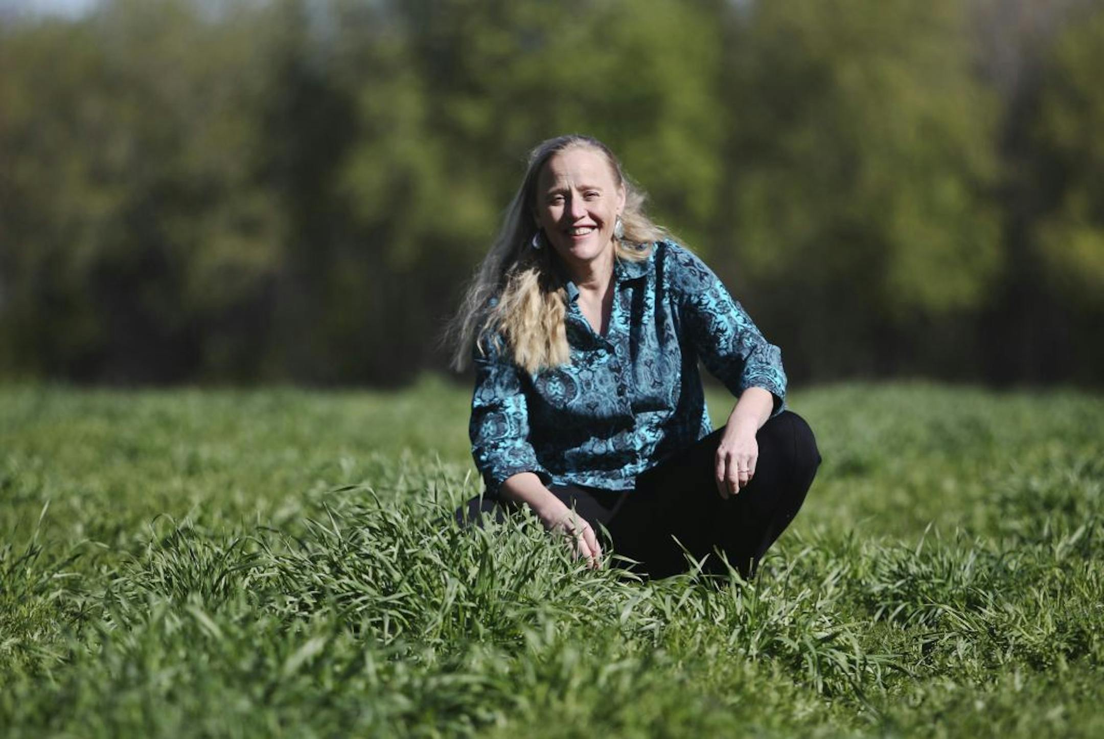 Author Atina Diffley in a field of hairy vetch that will act as fertilizer when it is plowed under and decomposes, enriching the soil for the next cash crop on their farm in Farmington, MN, Friday, April 6, 2012.
