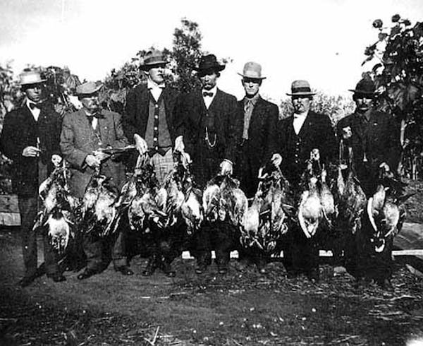 Duck hunters at Heron Lake in southwest Minnesota aaround 1915.