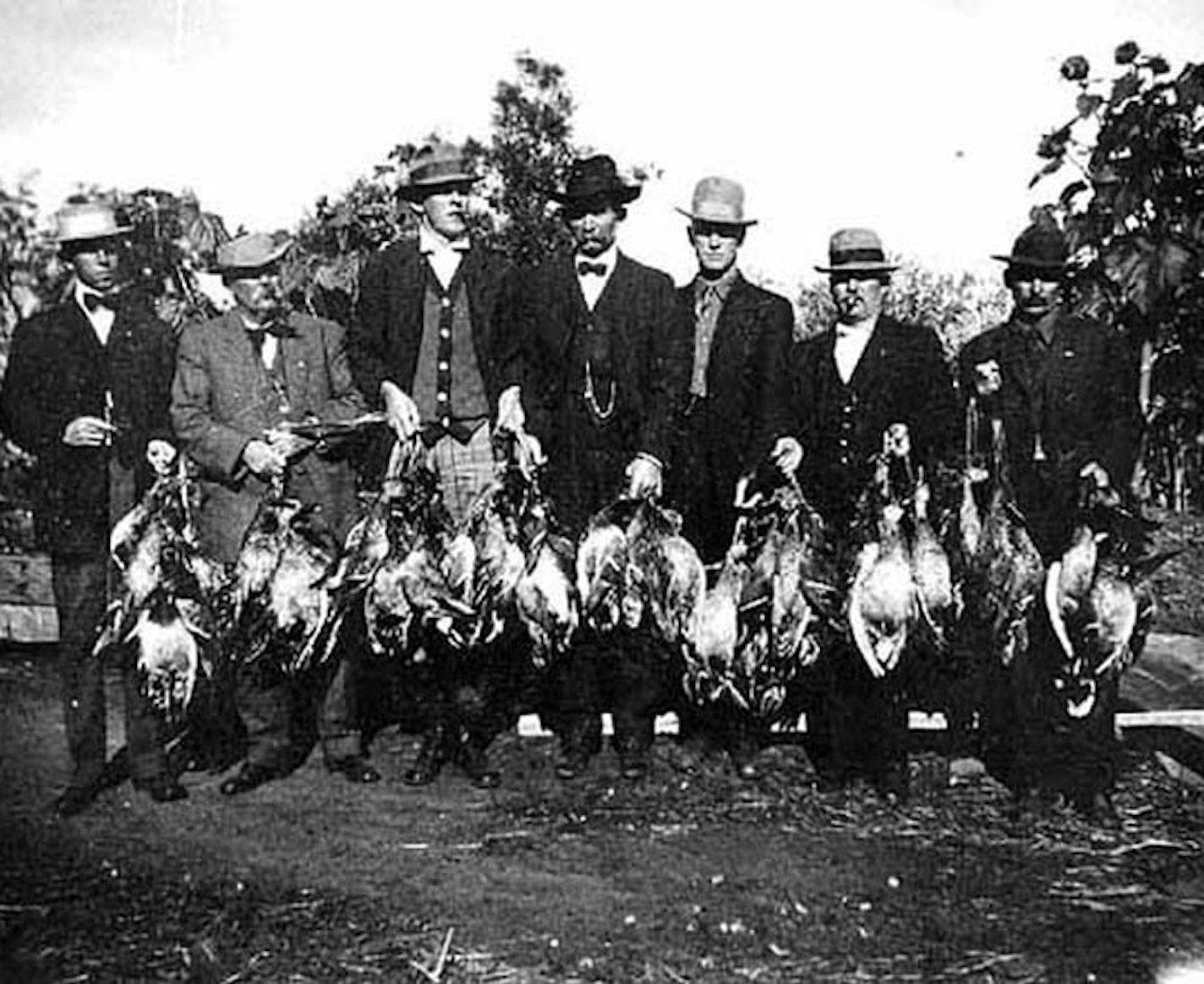 Duck hunters at Heron Lake in southwest Minnesota aaround 1915.