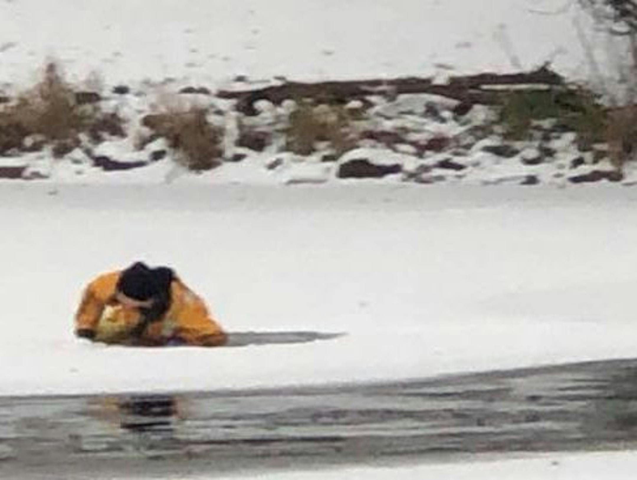 A White Bear Lake firefighter went into an icy lake and rescued a deer Sunday morning.