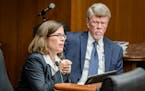 Judy Randall, shown at a March hearing with Jim Nobles, took over the job of Minnesota’s legislative auditor in November.